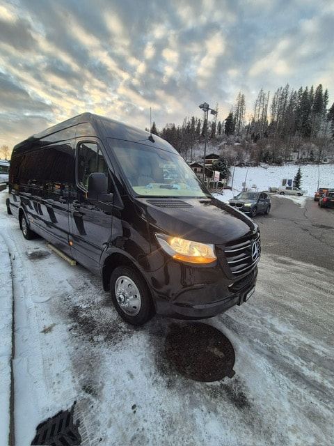 MERCEDES-BENZ Sprinter 516 CDI Extralang 7G-TRONIC-image-0