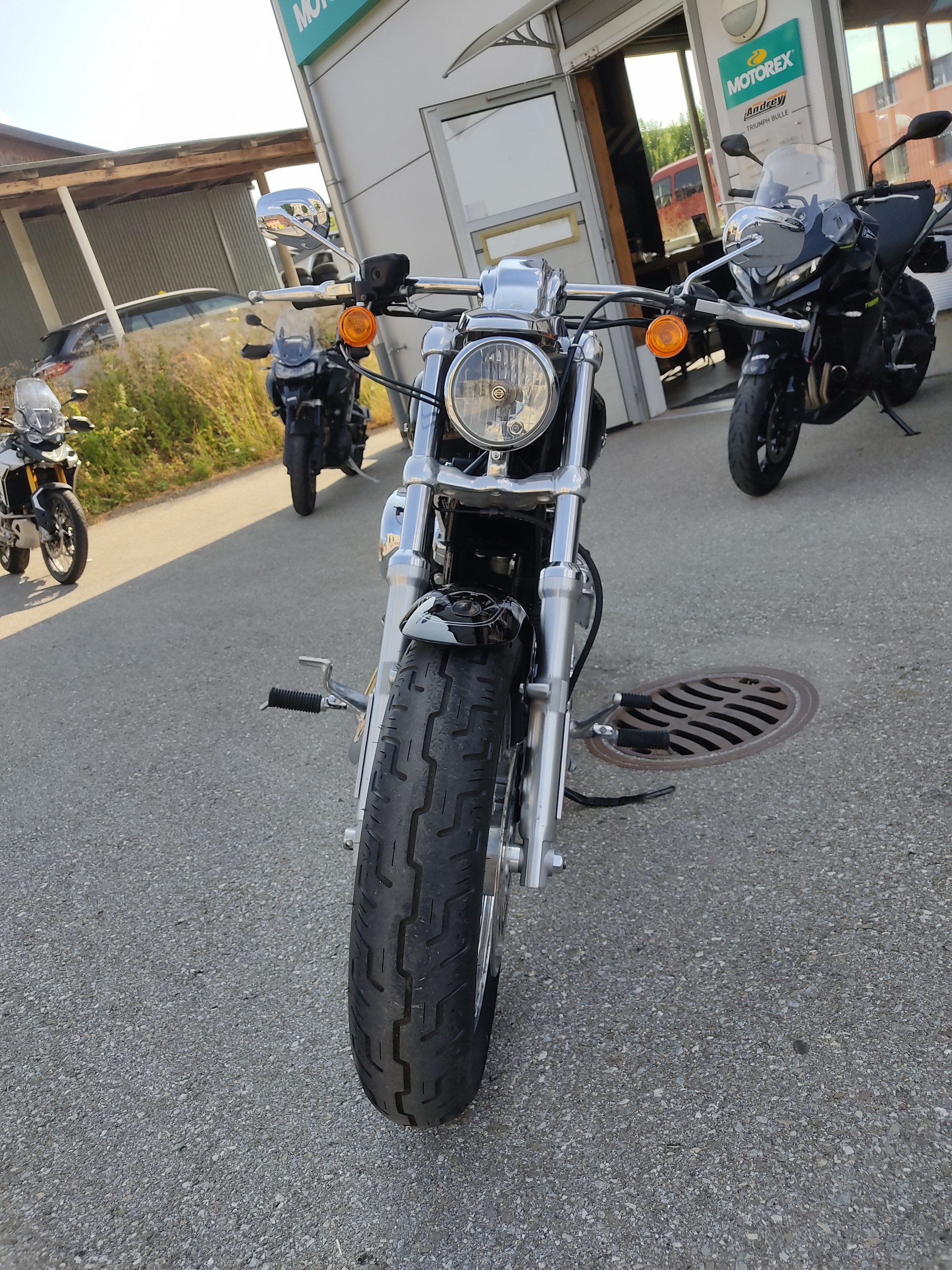 HARLEY-DAVIDSON XL 1200 C Sportster Custom-image-5