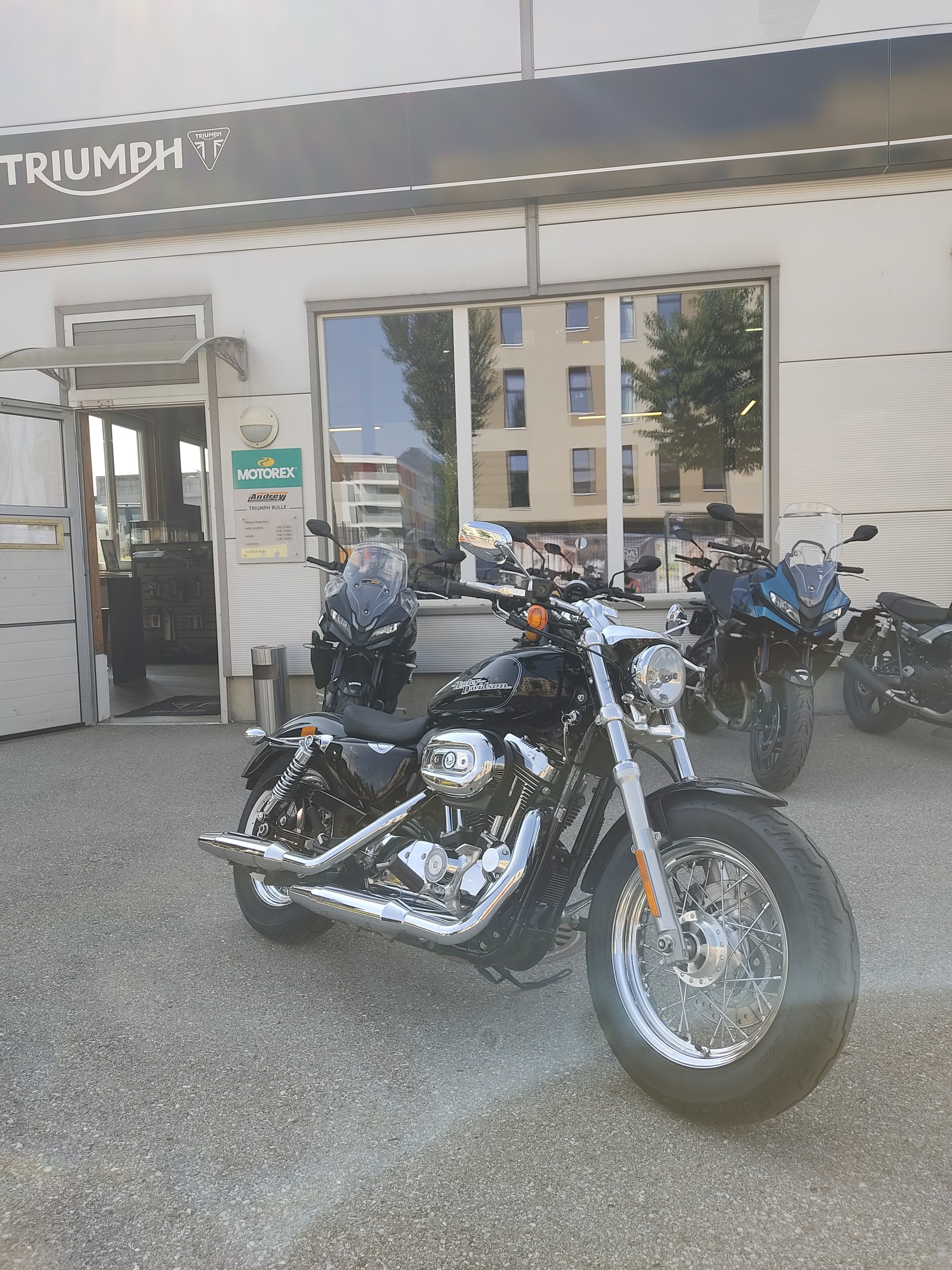 HARLEY-DAVIDSON XL 1200 C Sportster Custom