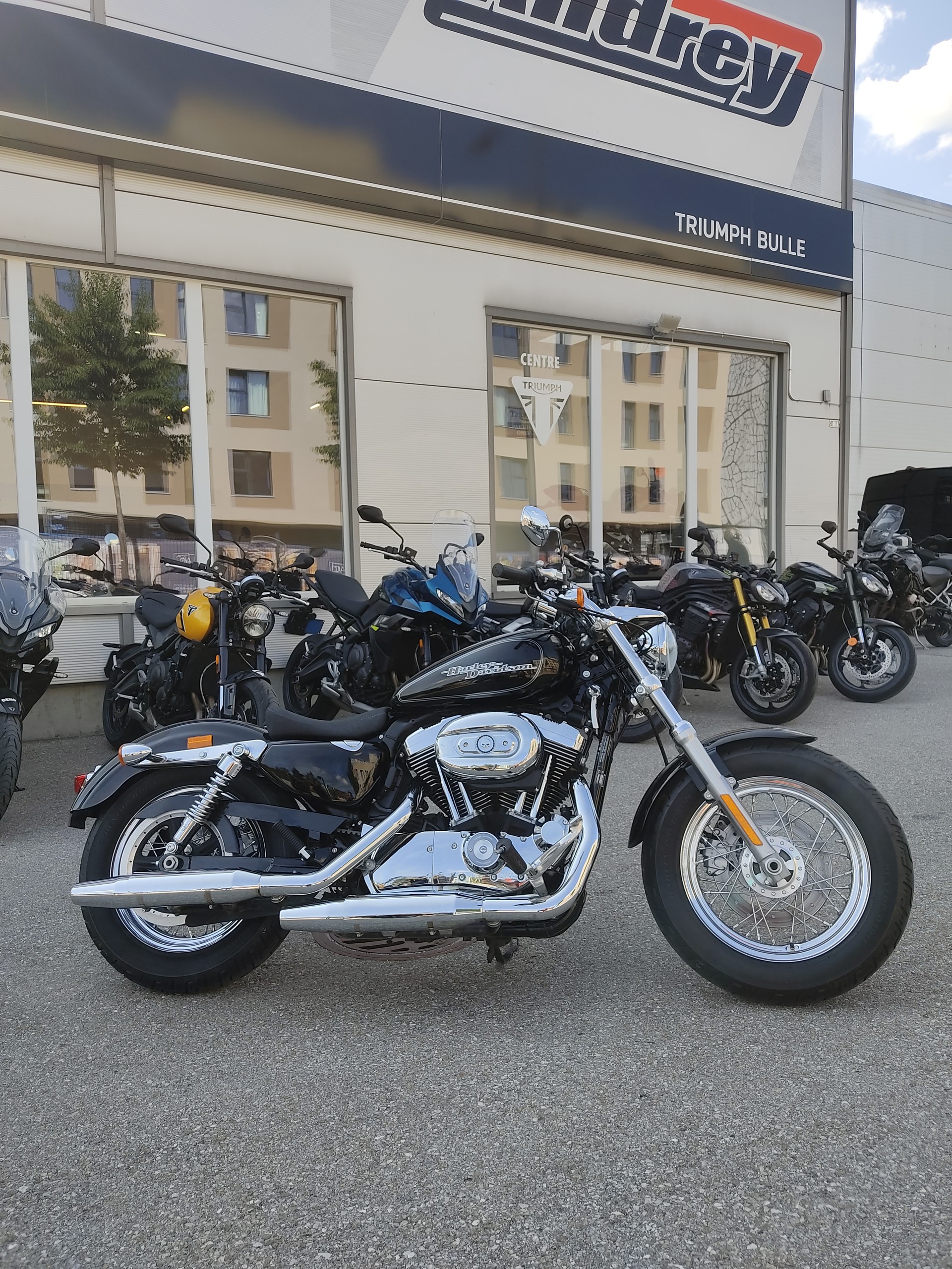 HARLEY-DAVIDSON XL 1200 C Sportster Custom-showroom-element-1