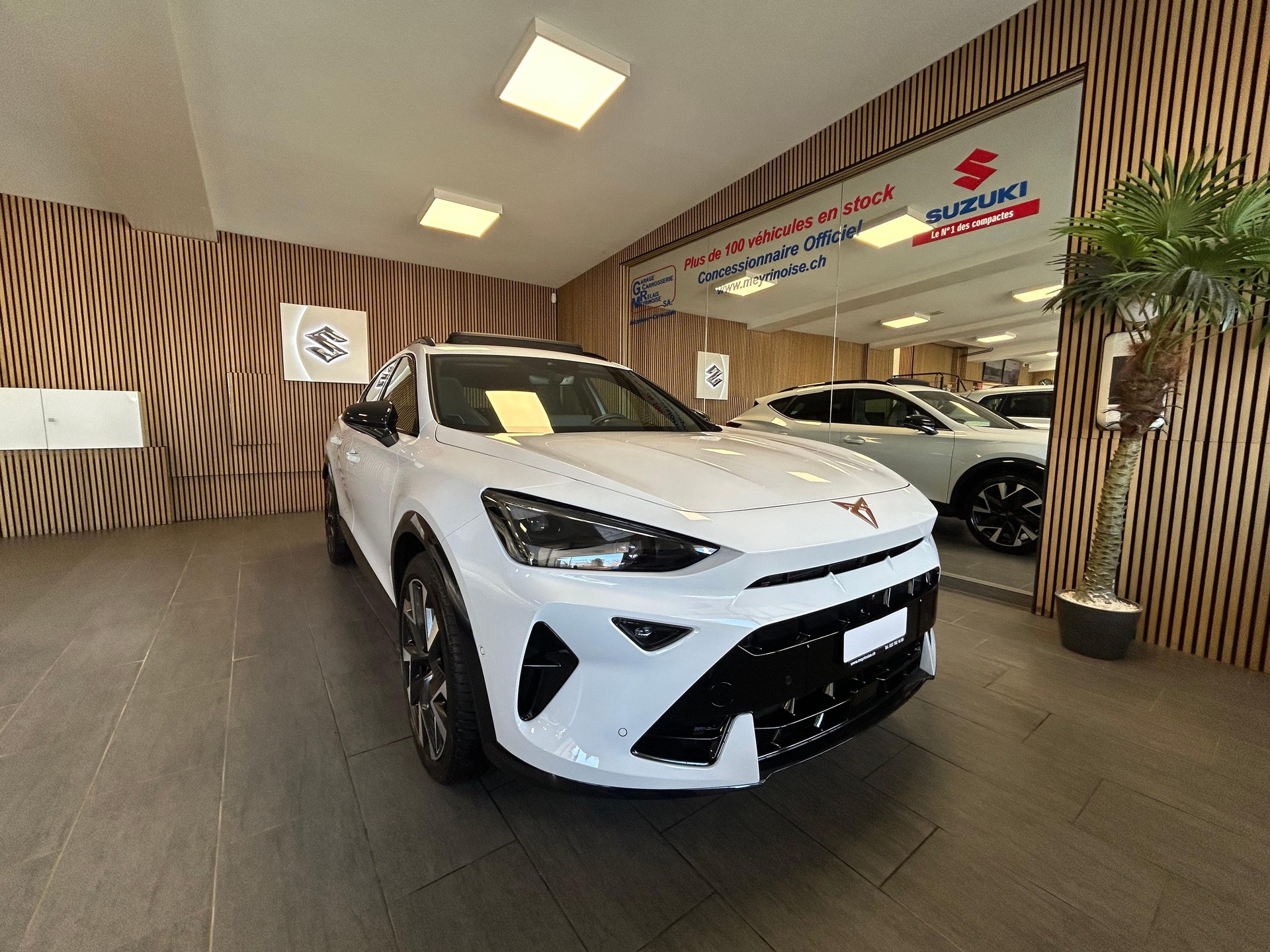 CUPRA Formentor 2.0 TSI VZ 4Drive DSG-showroom-element-2