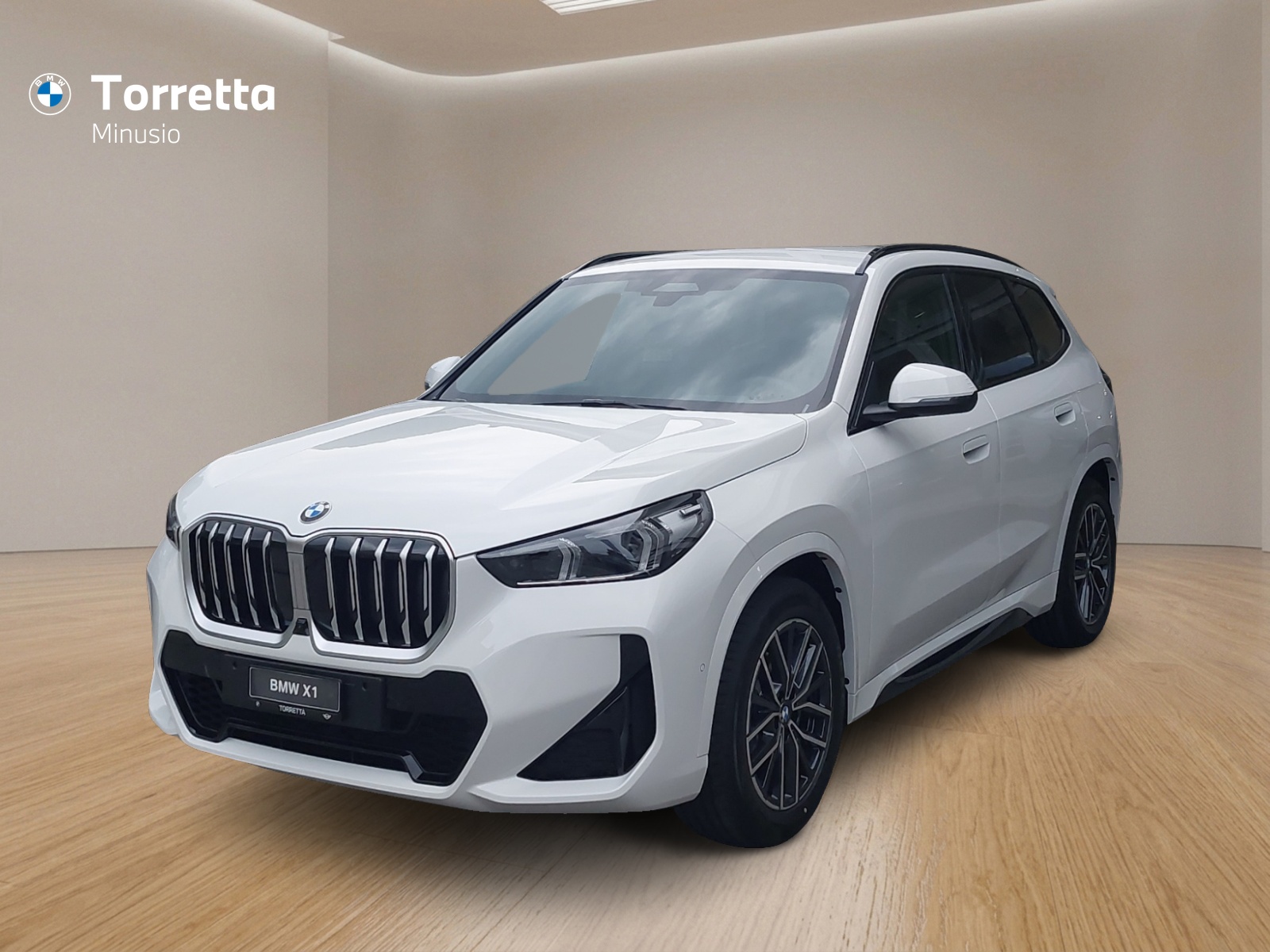 BMW X1 xDrive 20d 48V M Sport