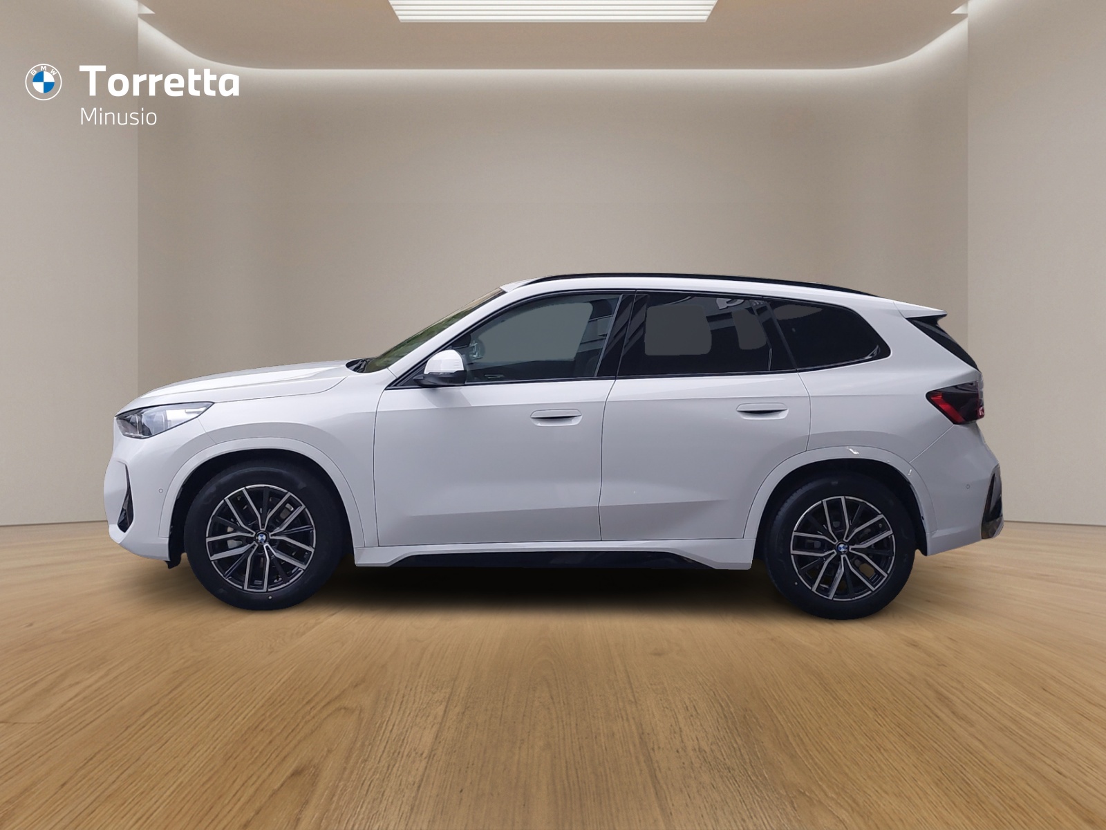 BMW X1 xDrive 20d 48V M Sport-showroom-element-1