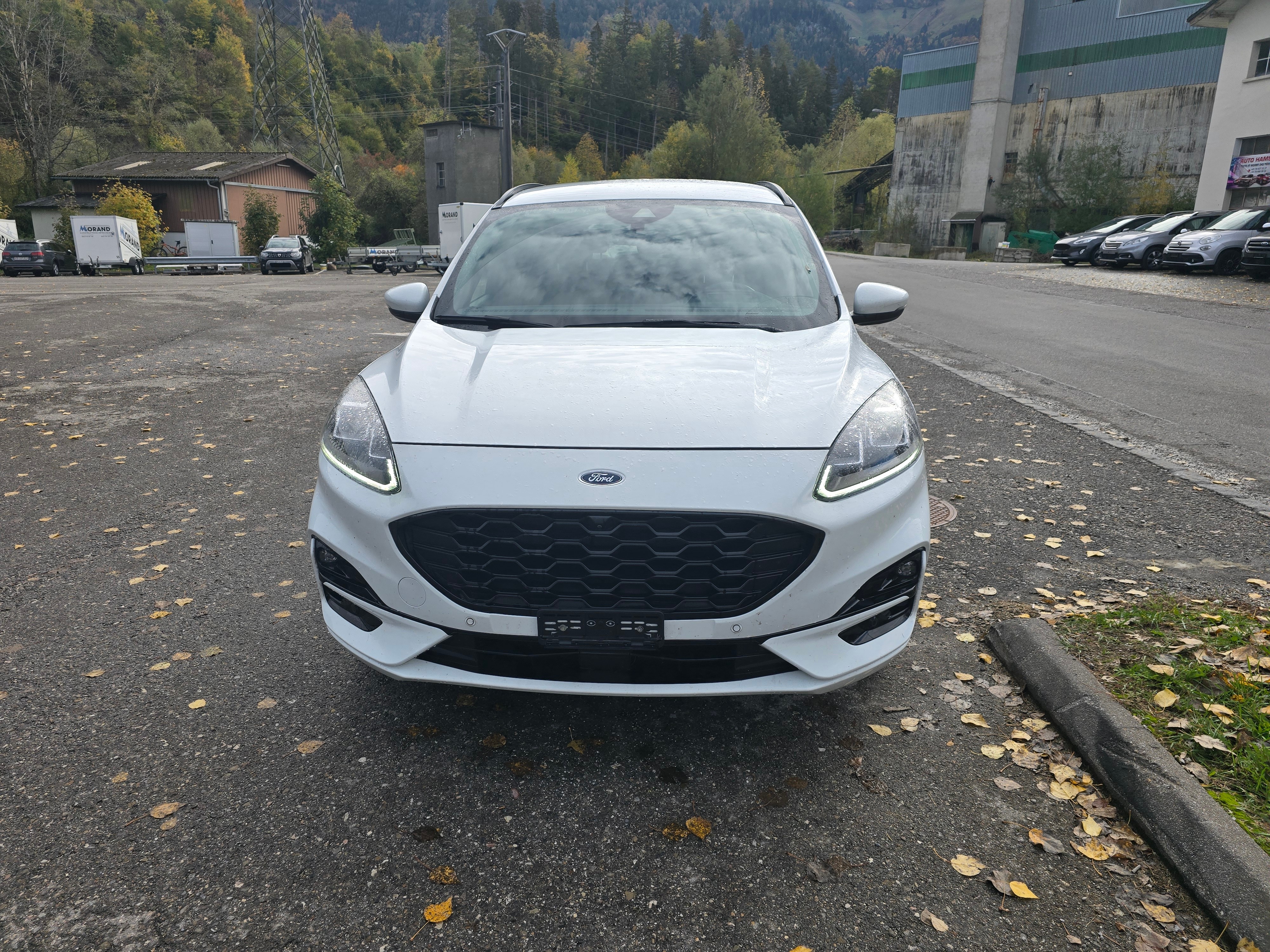 Car photo