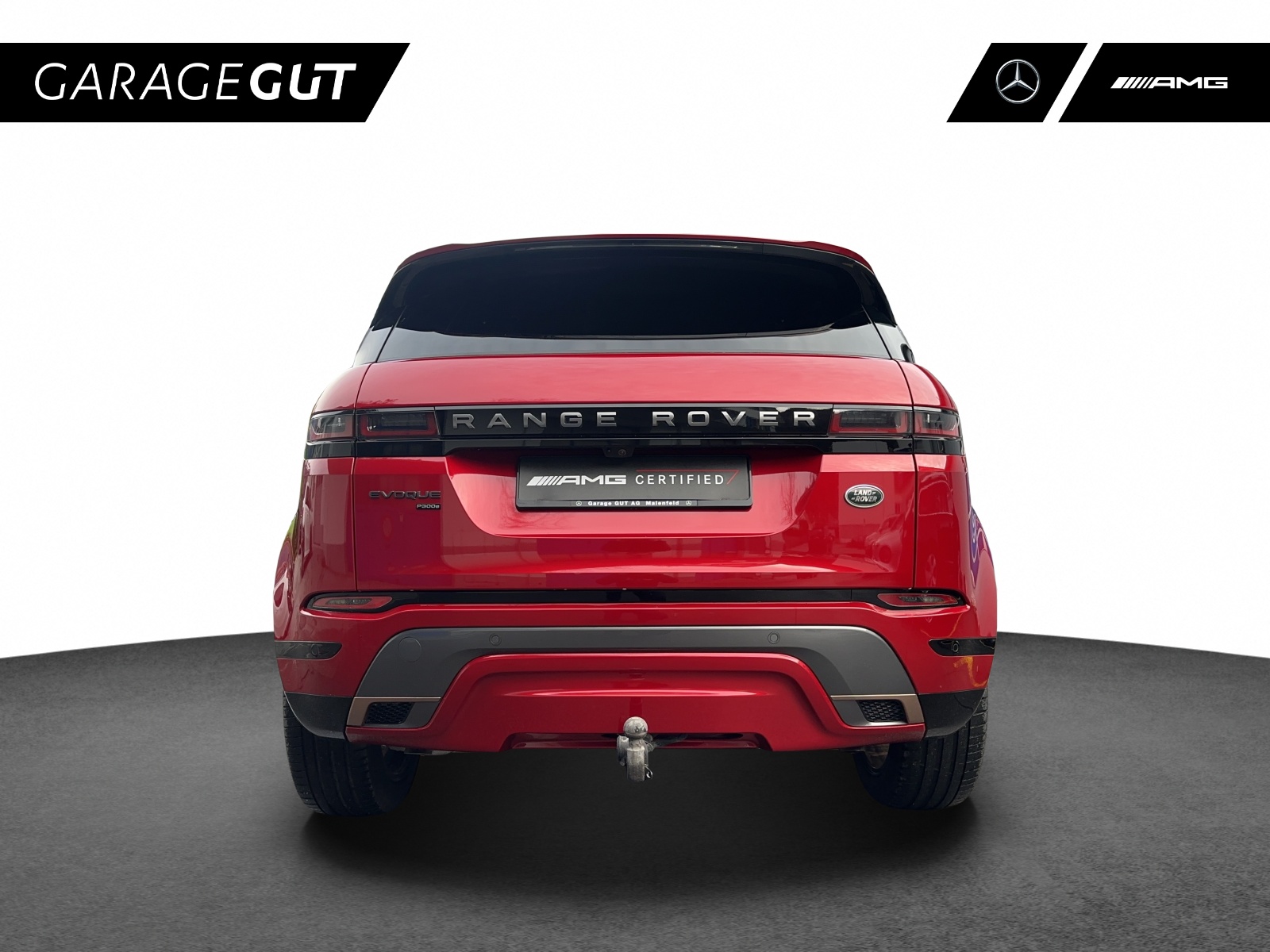 LAND ROVER Evoque R-Dynamic HSE-image-3