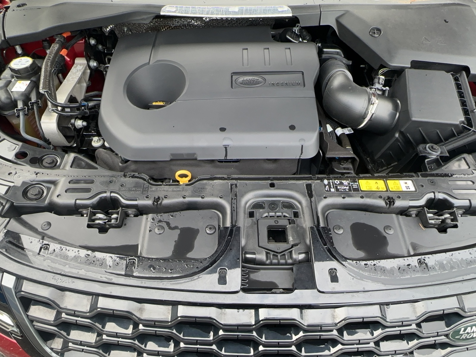 LAND ROVER Evoque R-Dynamic HSE-image-20