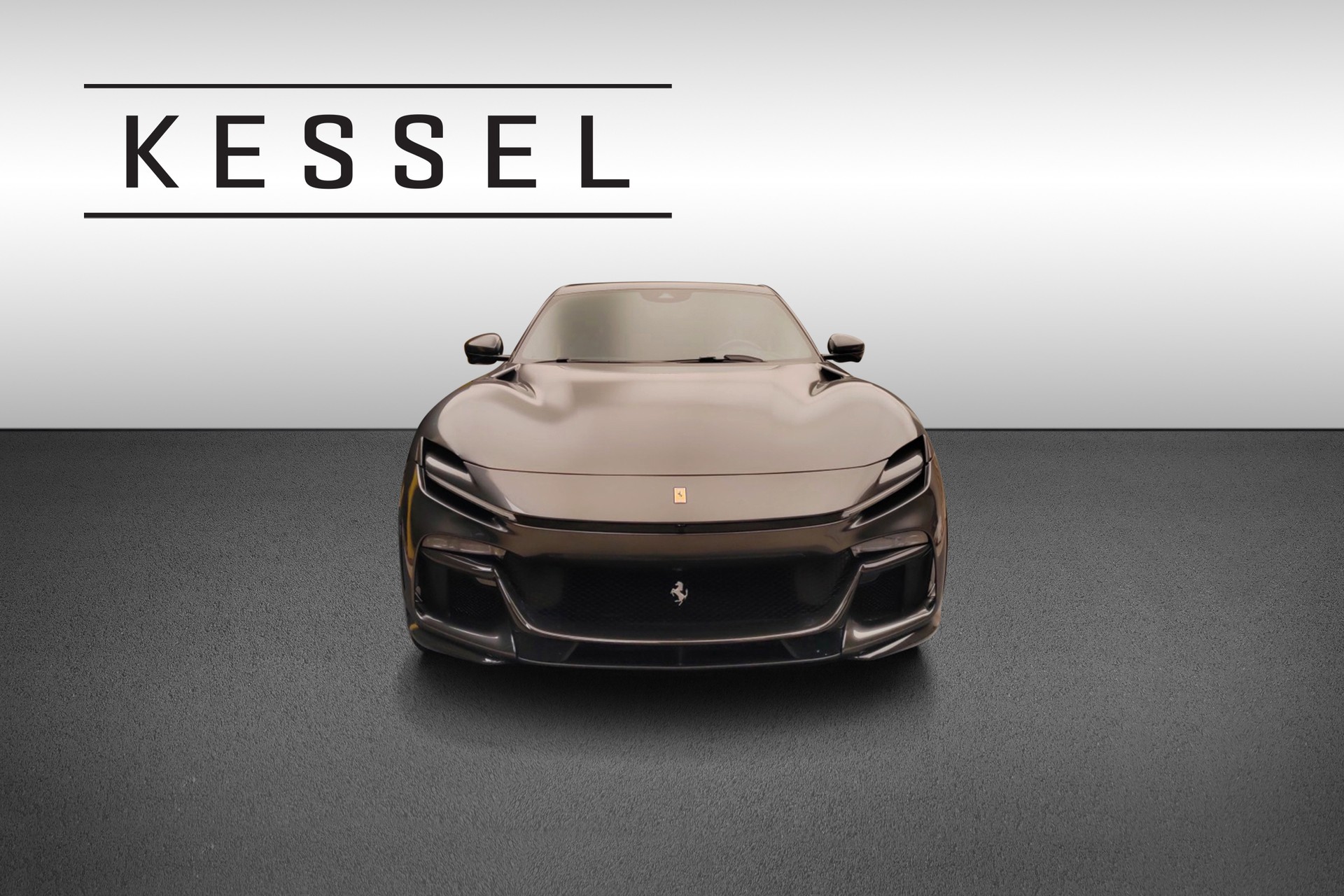 FERRARI Purosangue 6.5 V12-showroom-element-1