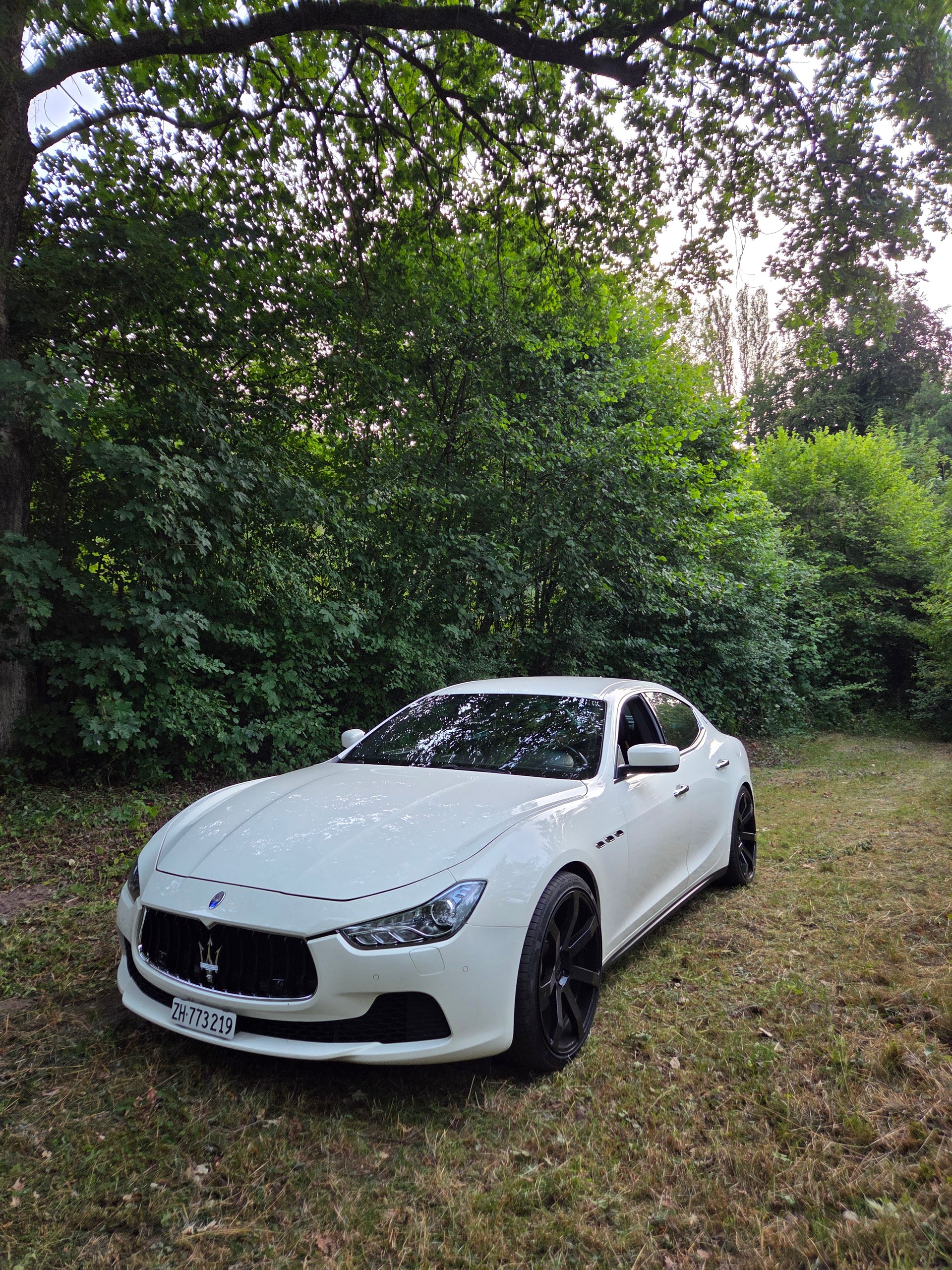 MASERATI 3.0 V6 D-image-0