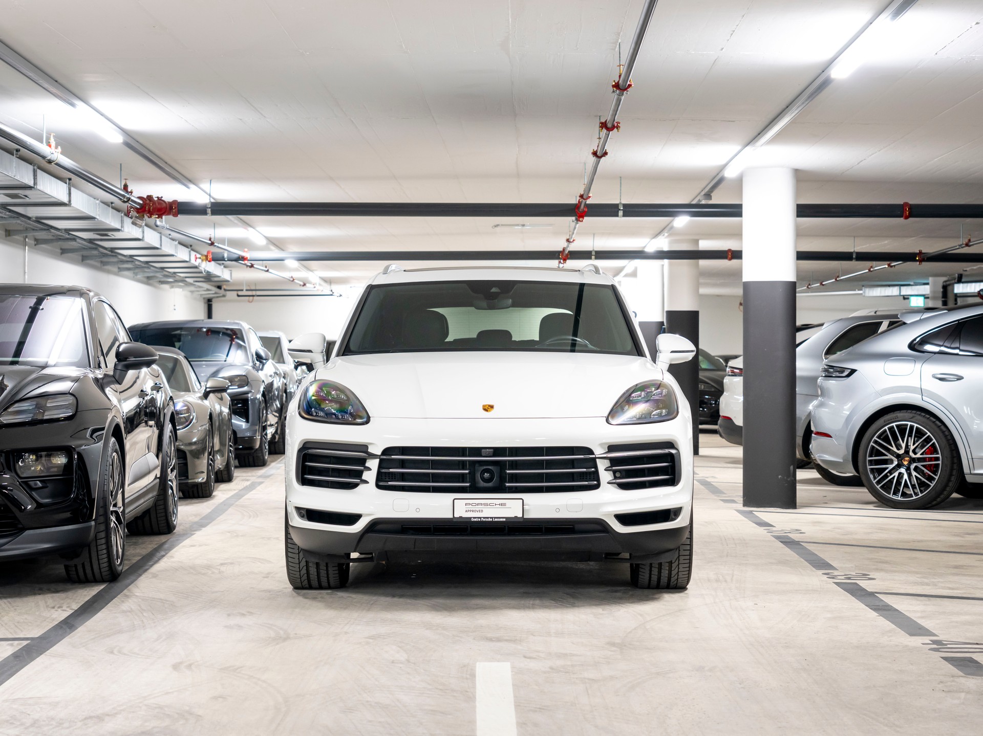 PORSCHE Cayenne E-Hybrid-image-3