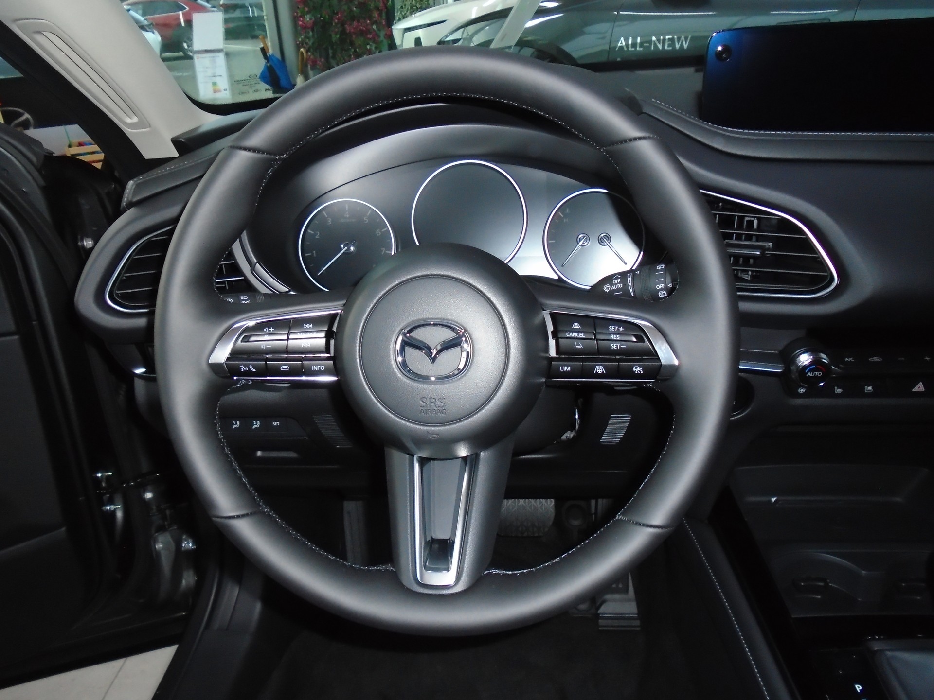 MAZDA CX-30 SKYACTIV-X 186 M Hybrid Takumi AWD AT-image-7