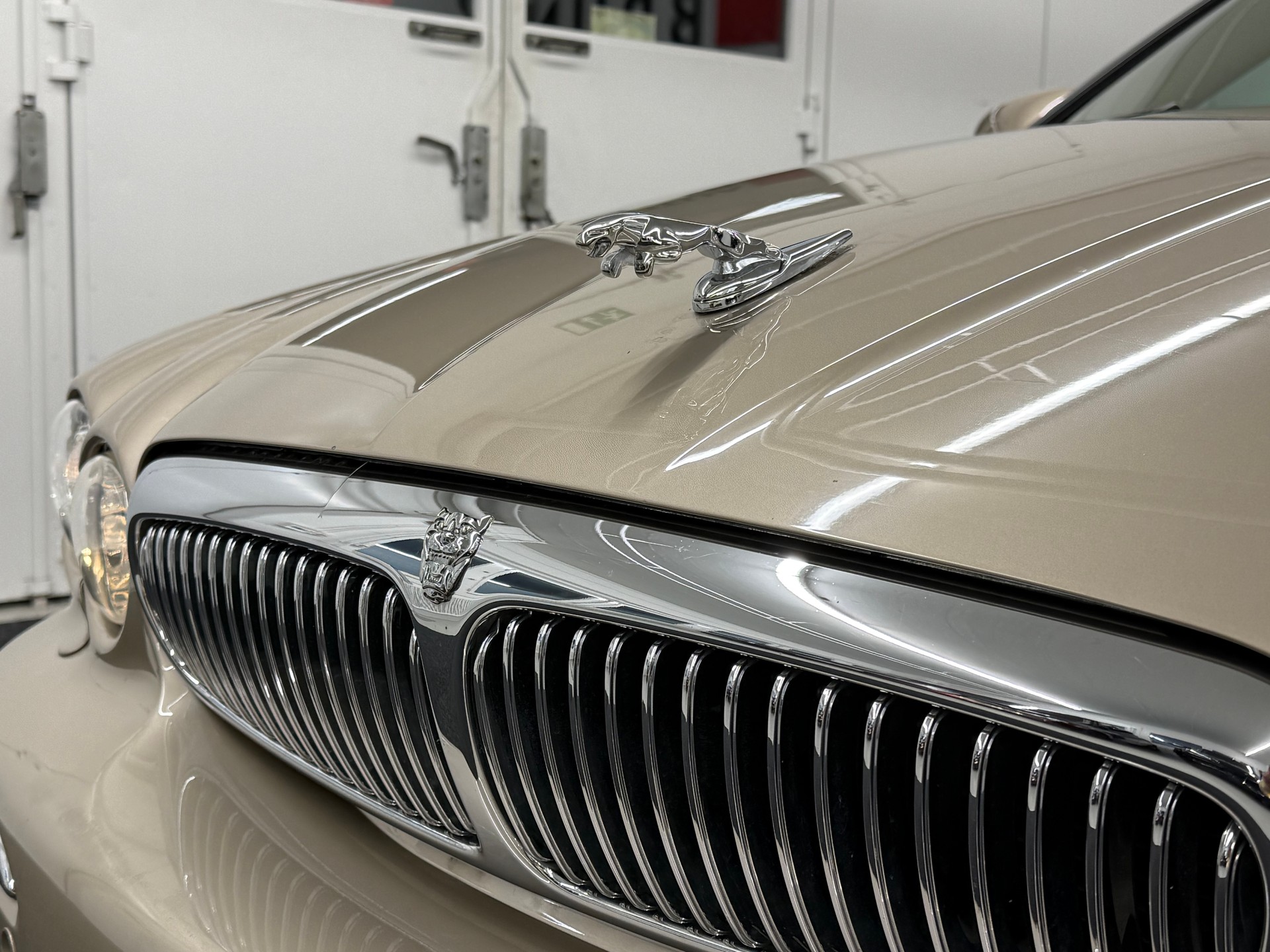 JAGUAR X-Type 3.0 V6 4X4 Executive-image-9