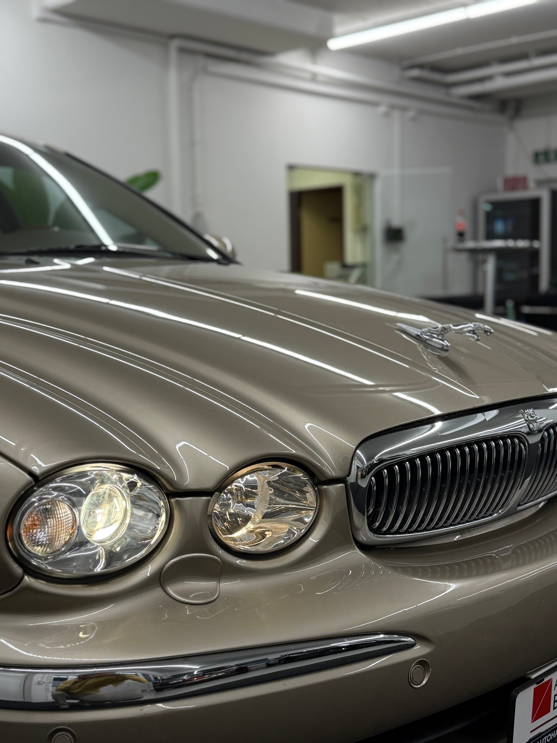 JAGUAR X-Type 3.0 V6 4X4 Executive-image-11