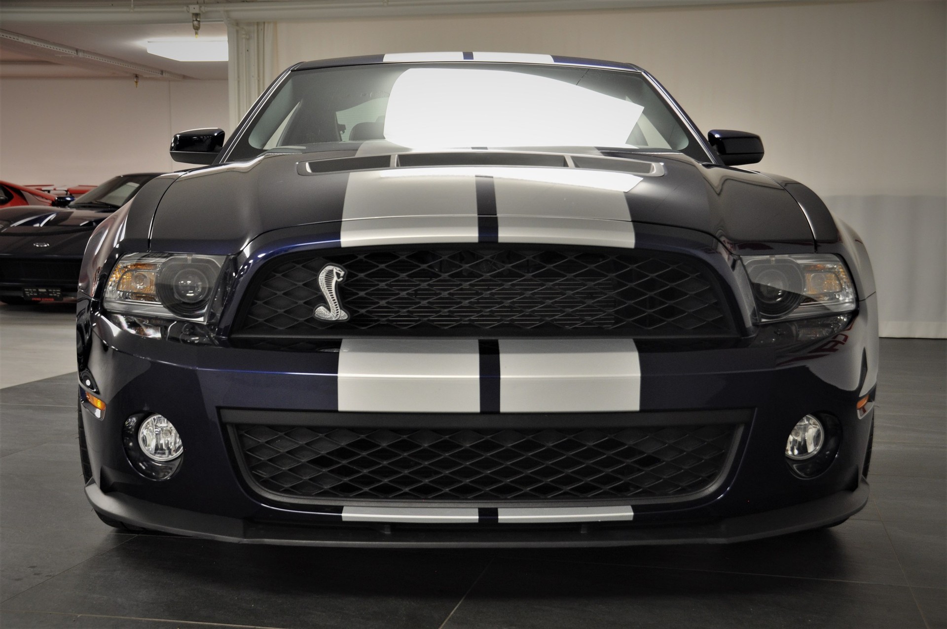 FORD MUSTANG Shelby GT 500 SVT-image-10