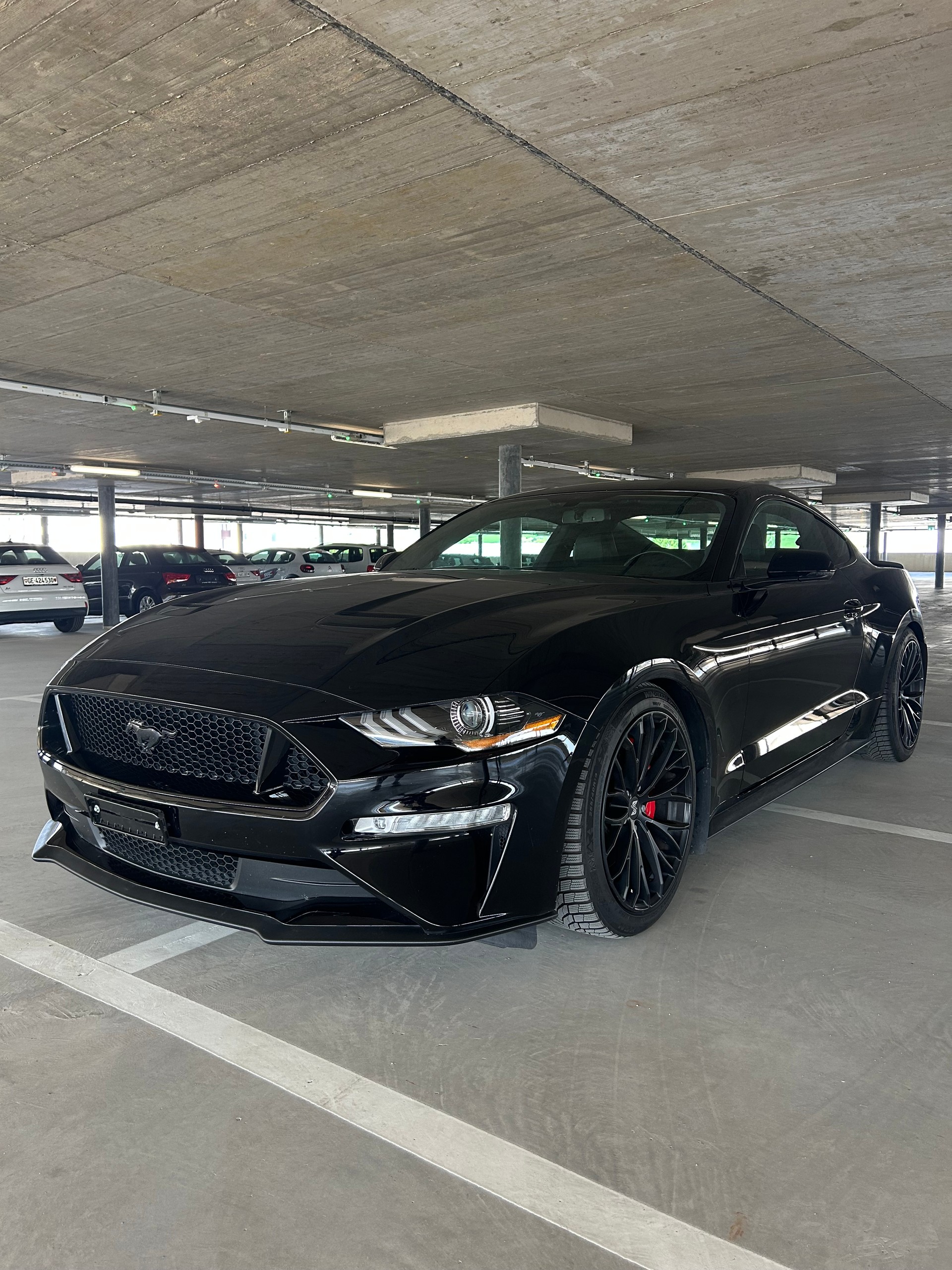 FORD Mustang Fastback 5.0 V8 GT-image-2