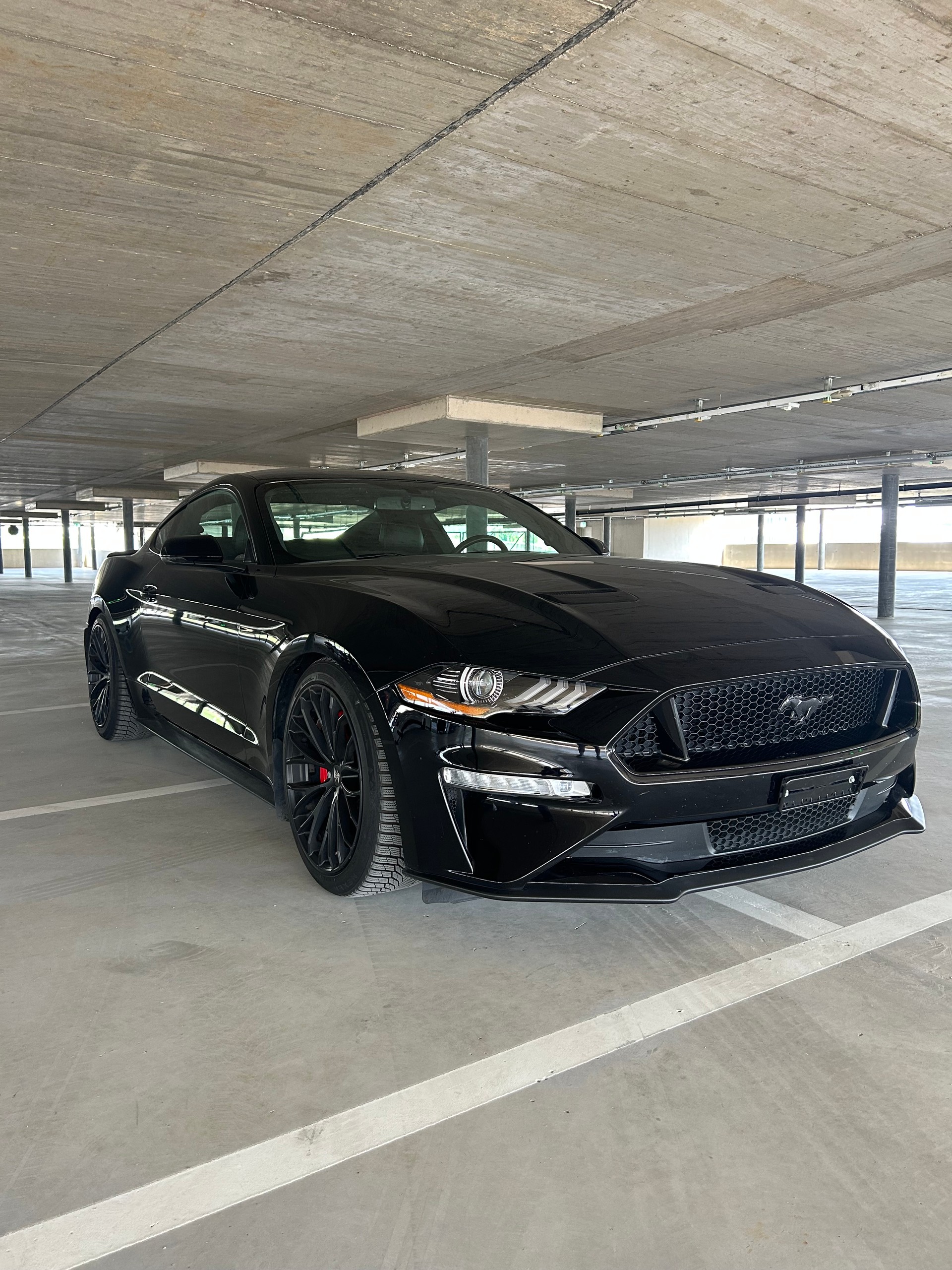 FORD Mustang Fastback 5.0 V8 GT-image-0
