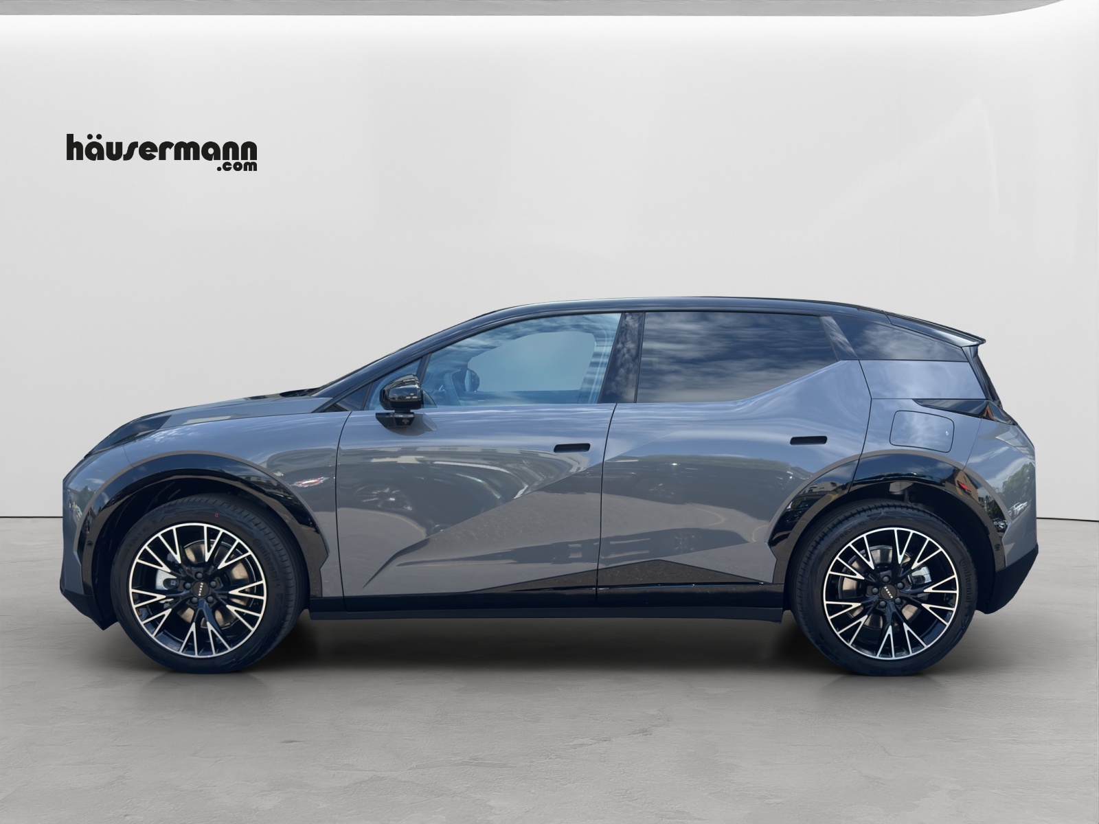 ZEEKR X Privilege AWD-showroom-element-2