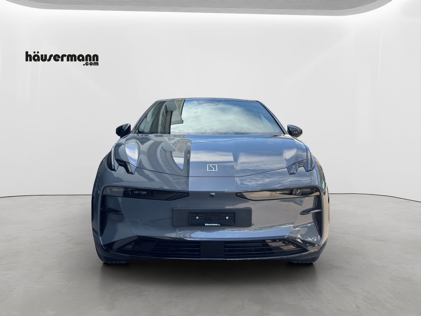 ZEEKR X Privilege AWD-showroom-element-1