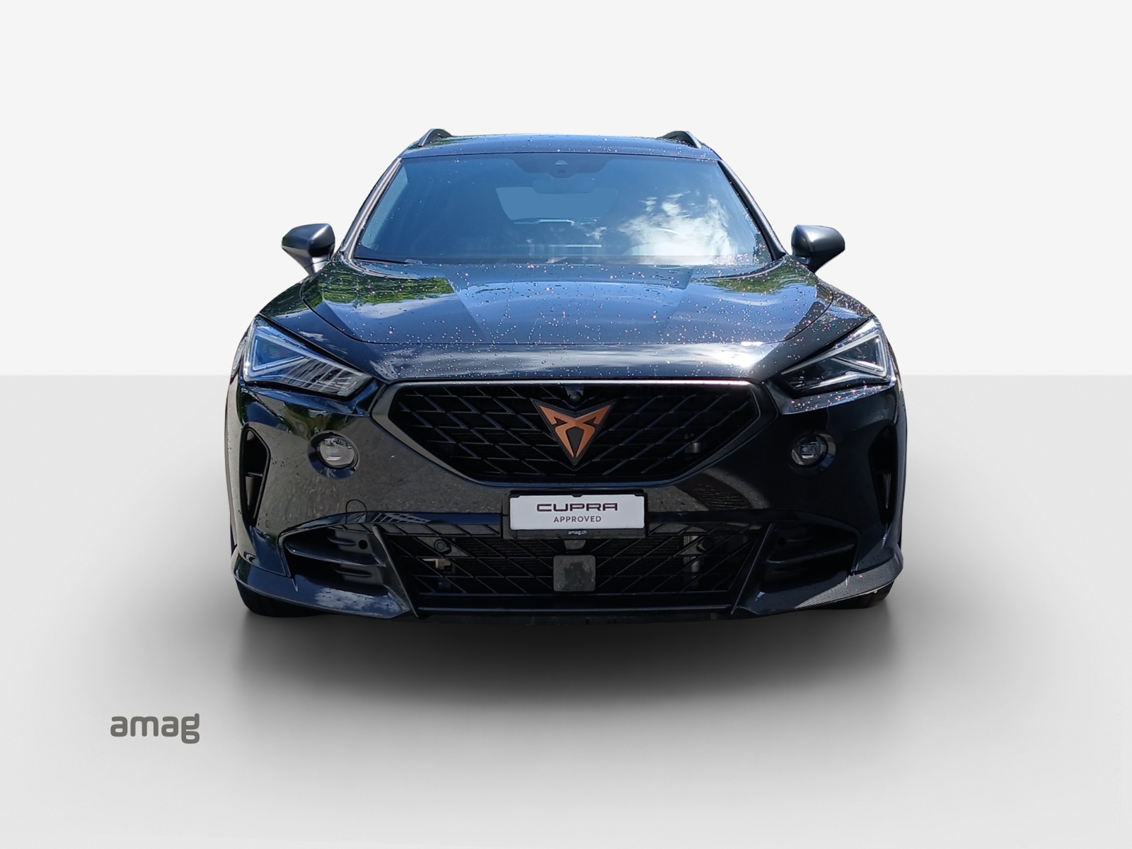CUPRA Formentor 2.5TSI VZ5 4Drive DSG-image-6