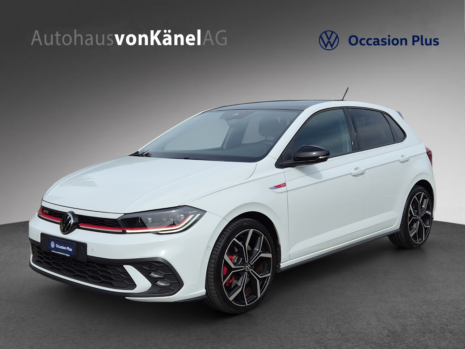VW Polo 2.0 TSI GTI DSG