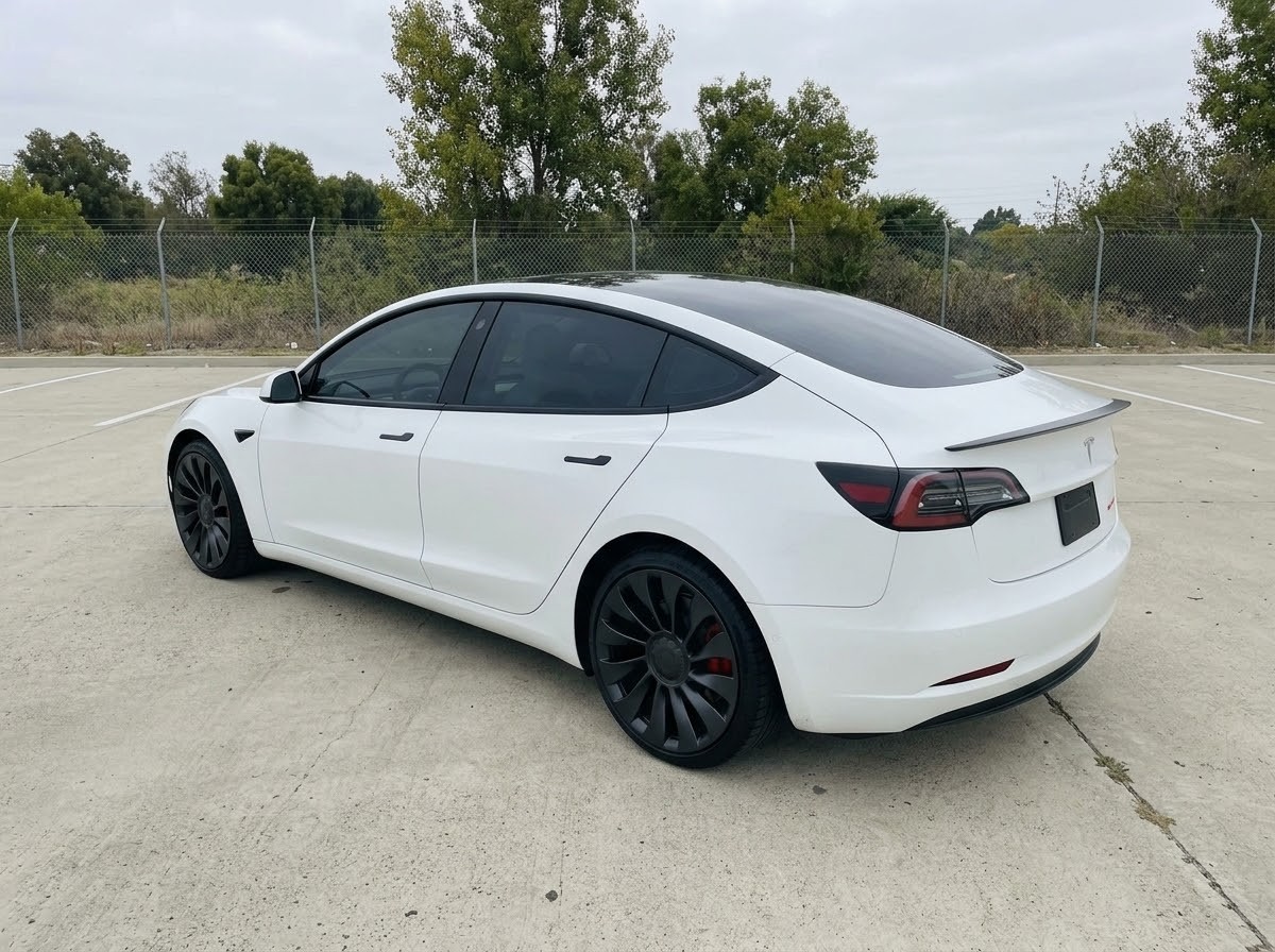 TESLA Performance-image-0