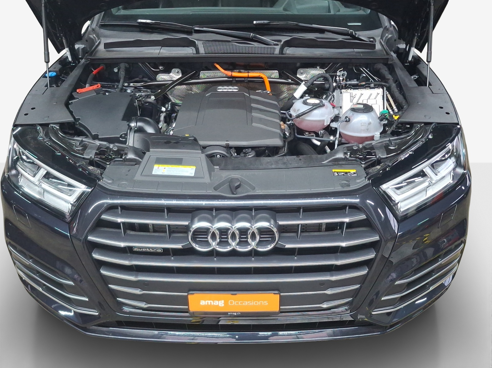 AUDI Q5 55 TFSI e sport quattro-image-16