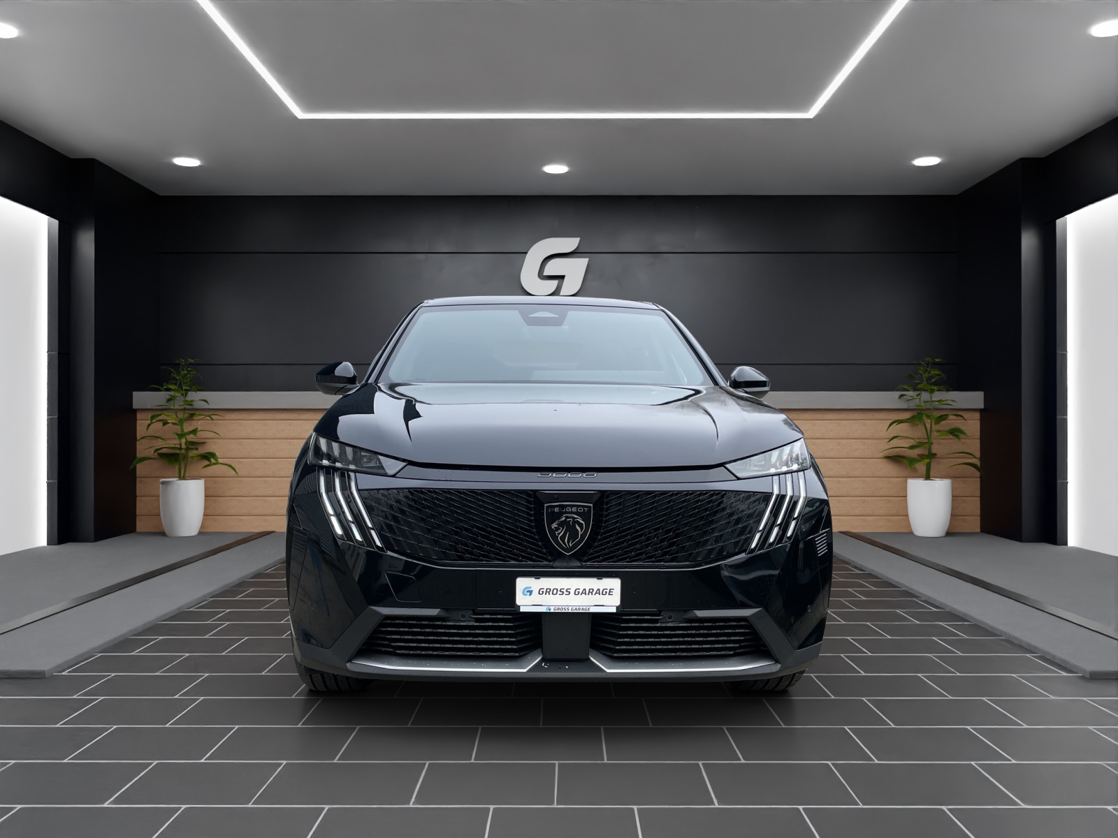 PEUGEOT 3008 NEW 195 e-DCS GT-showroom-element-2