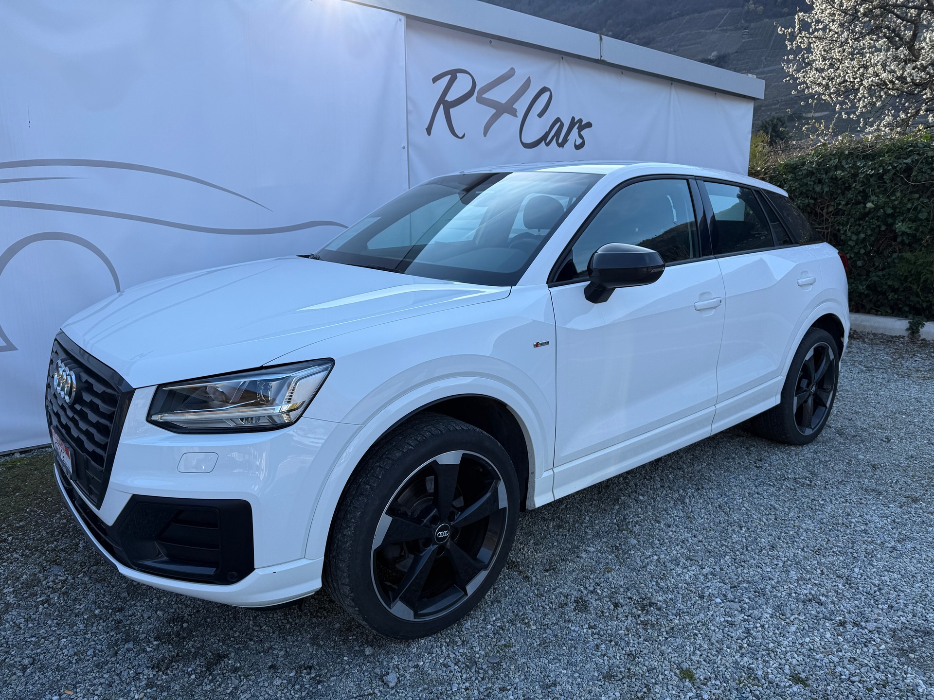 AUDI Q2 2.0 TFSI sport quattro S-tronic