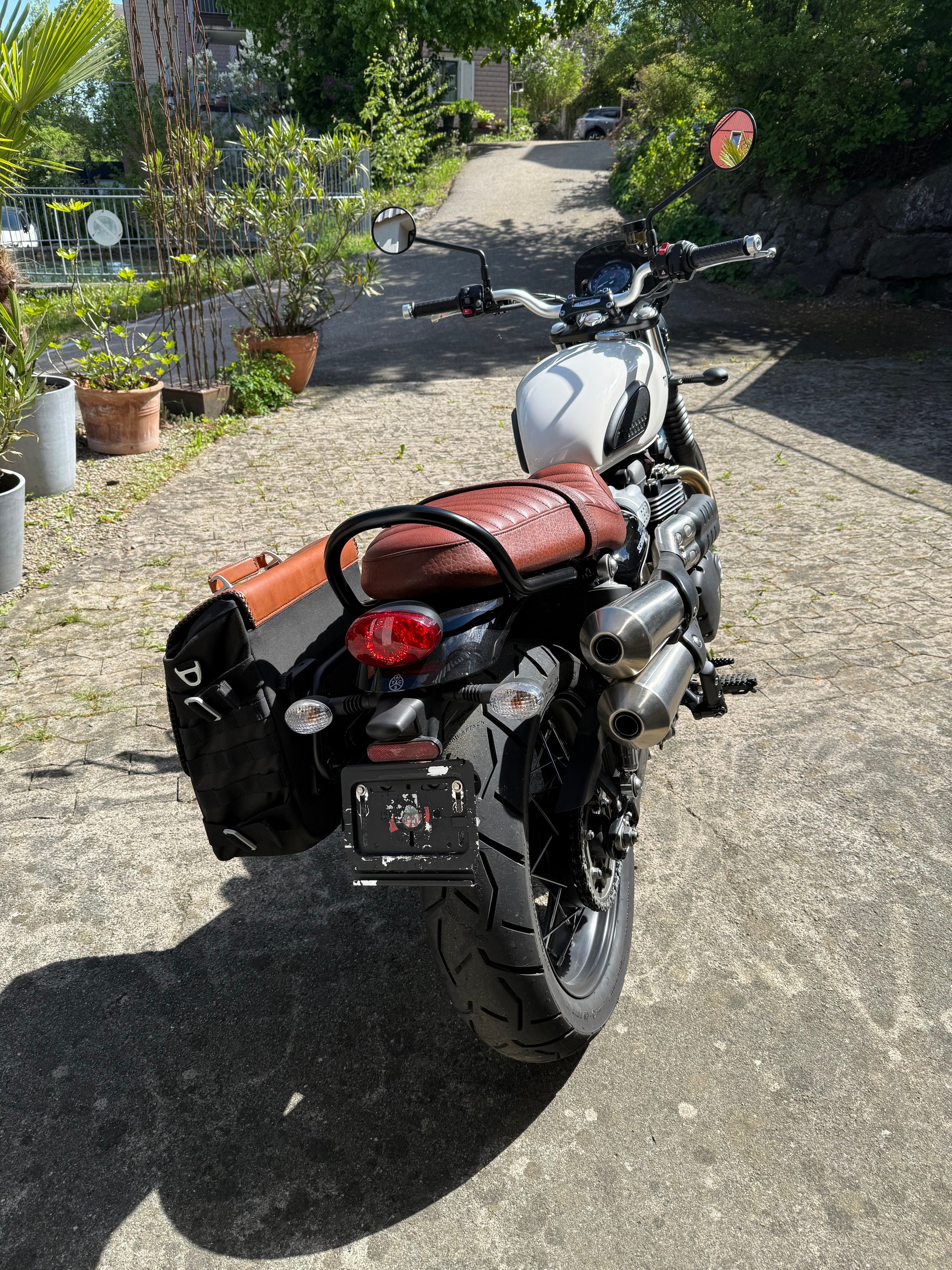 TRIUMPH Street Scrambler 900-image-4