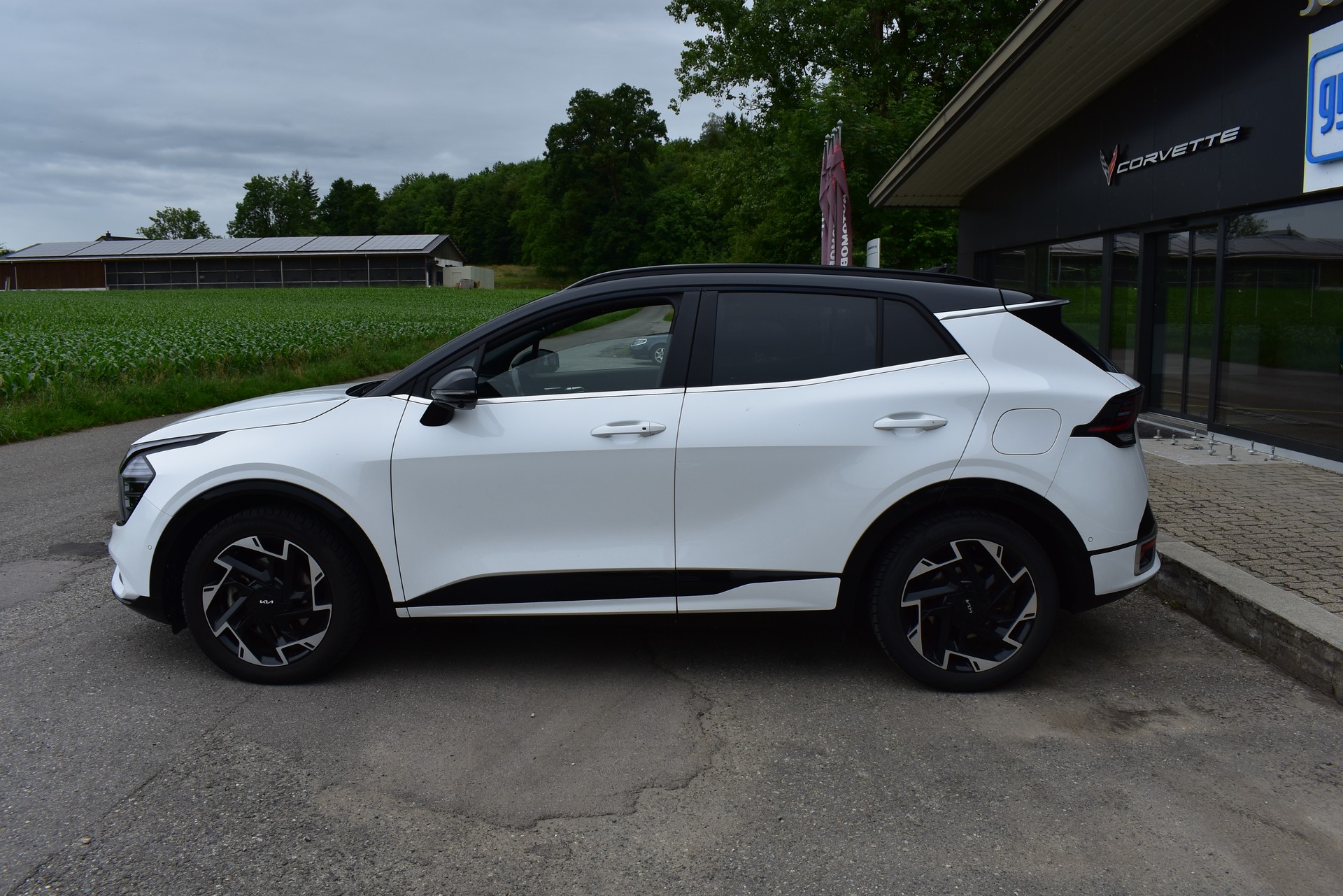 KIA Sportage 1.6T-GDi PHEV GT-Line 4x4 A-image-6