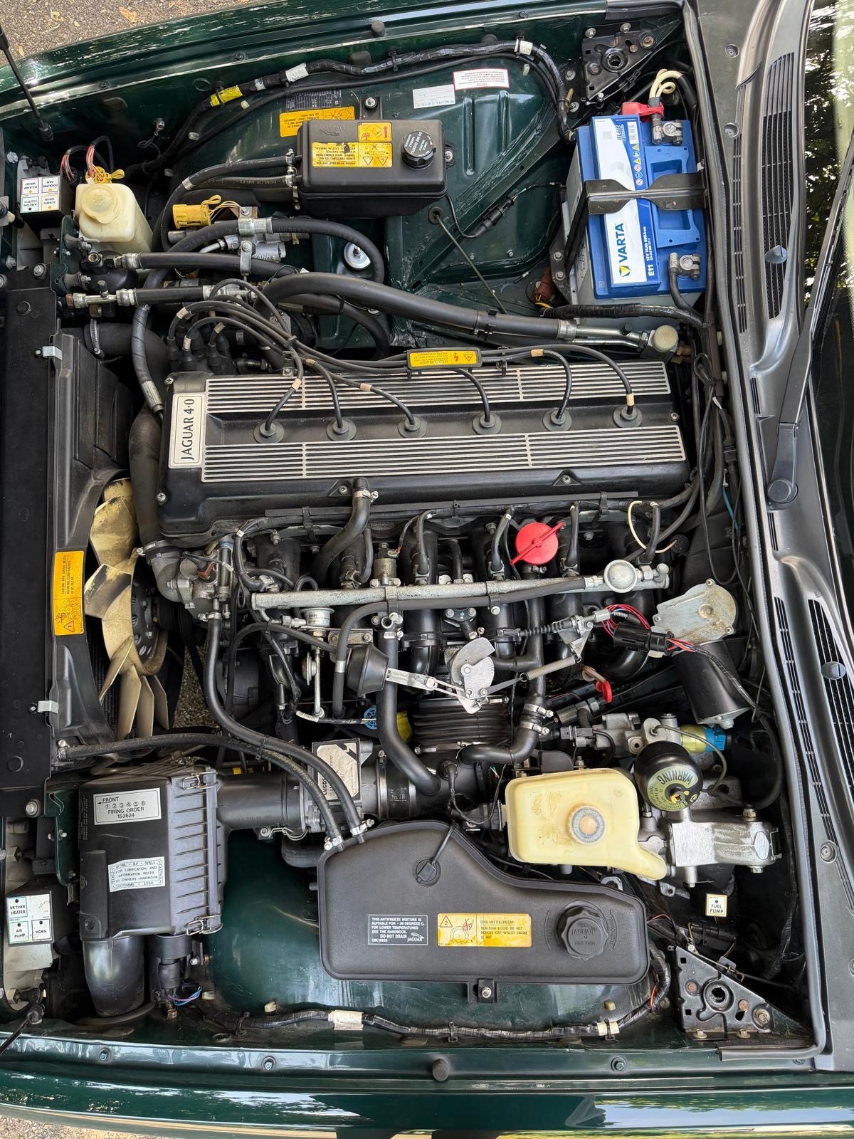 JAGUAR XJ6 4.0 Sovereign-image-13