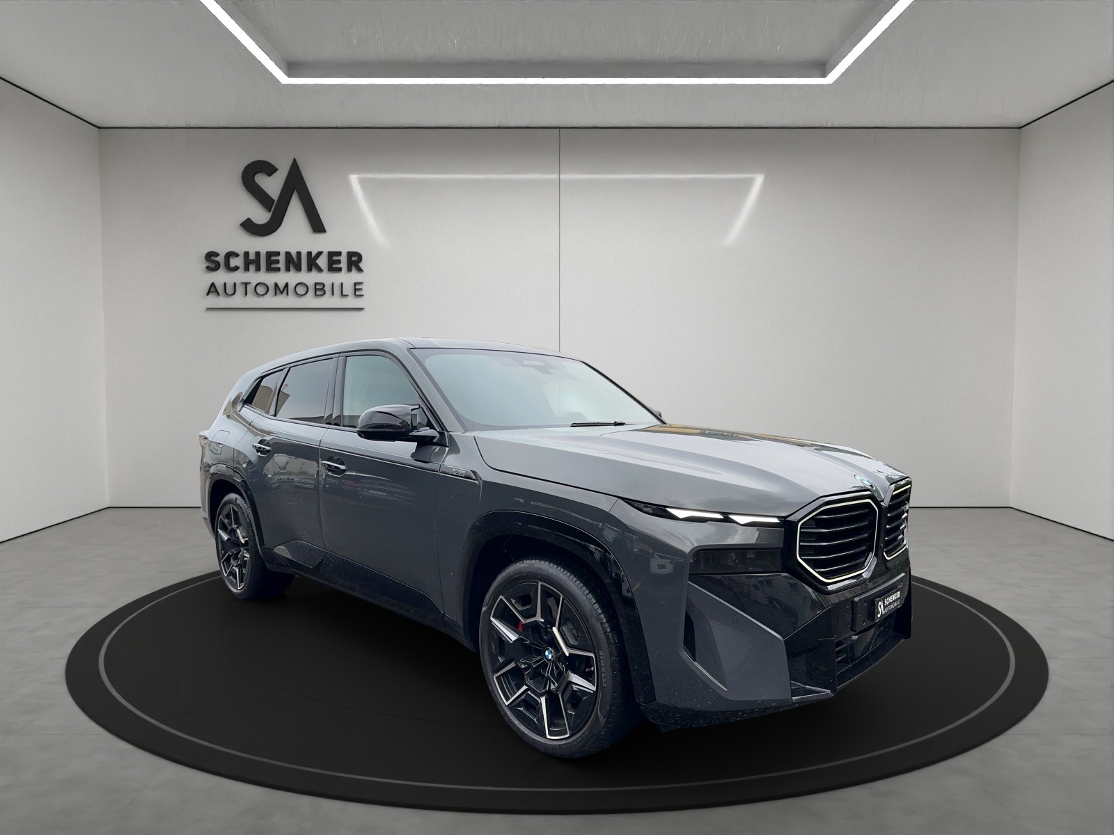 BMW XM xDrive 50e PHEV Steptronic-image-6