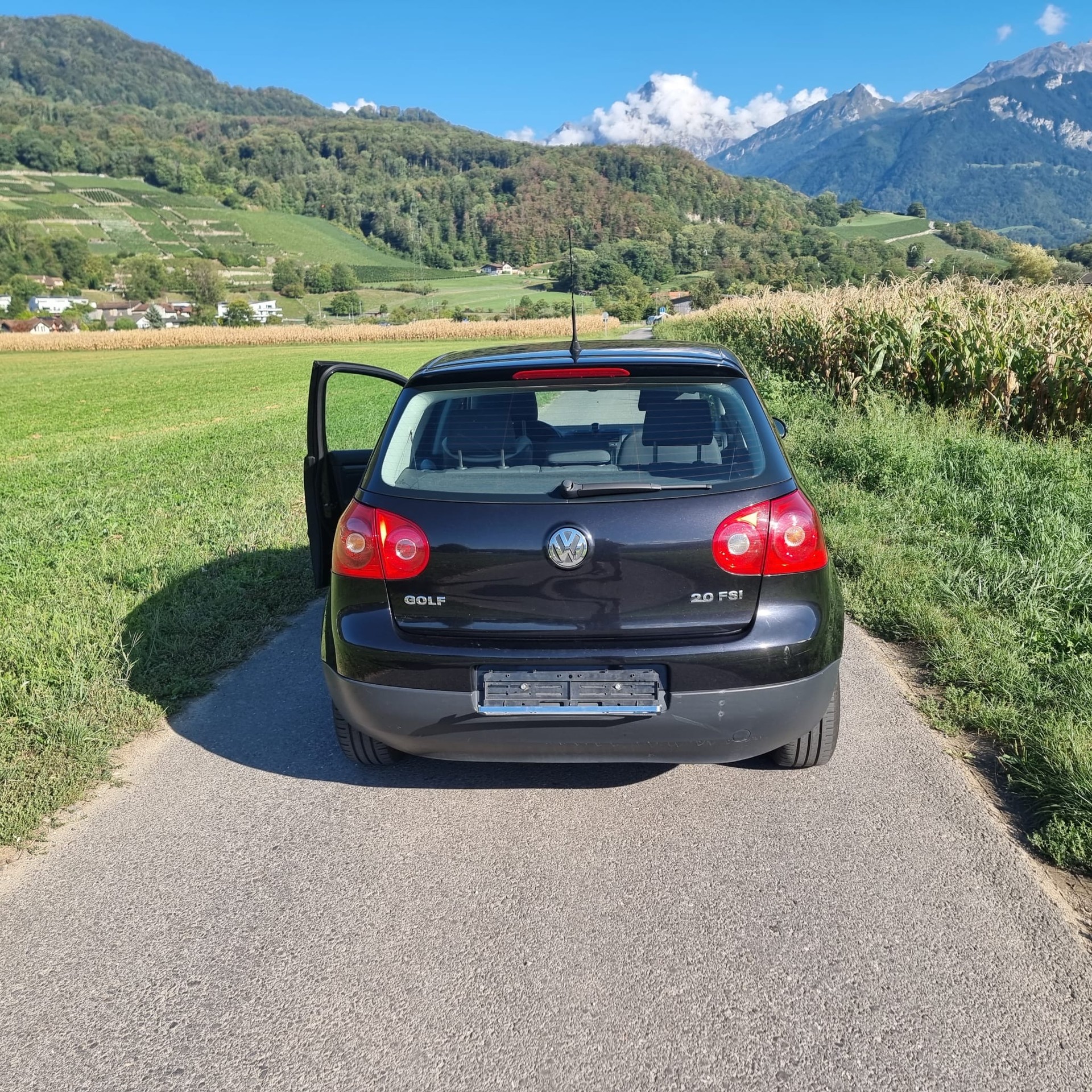 VW 2.0 Essence-image-4