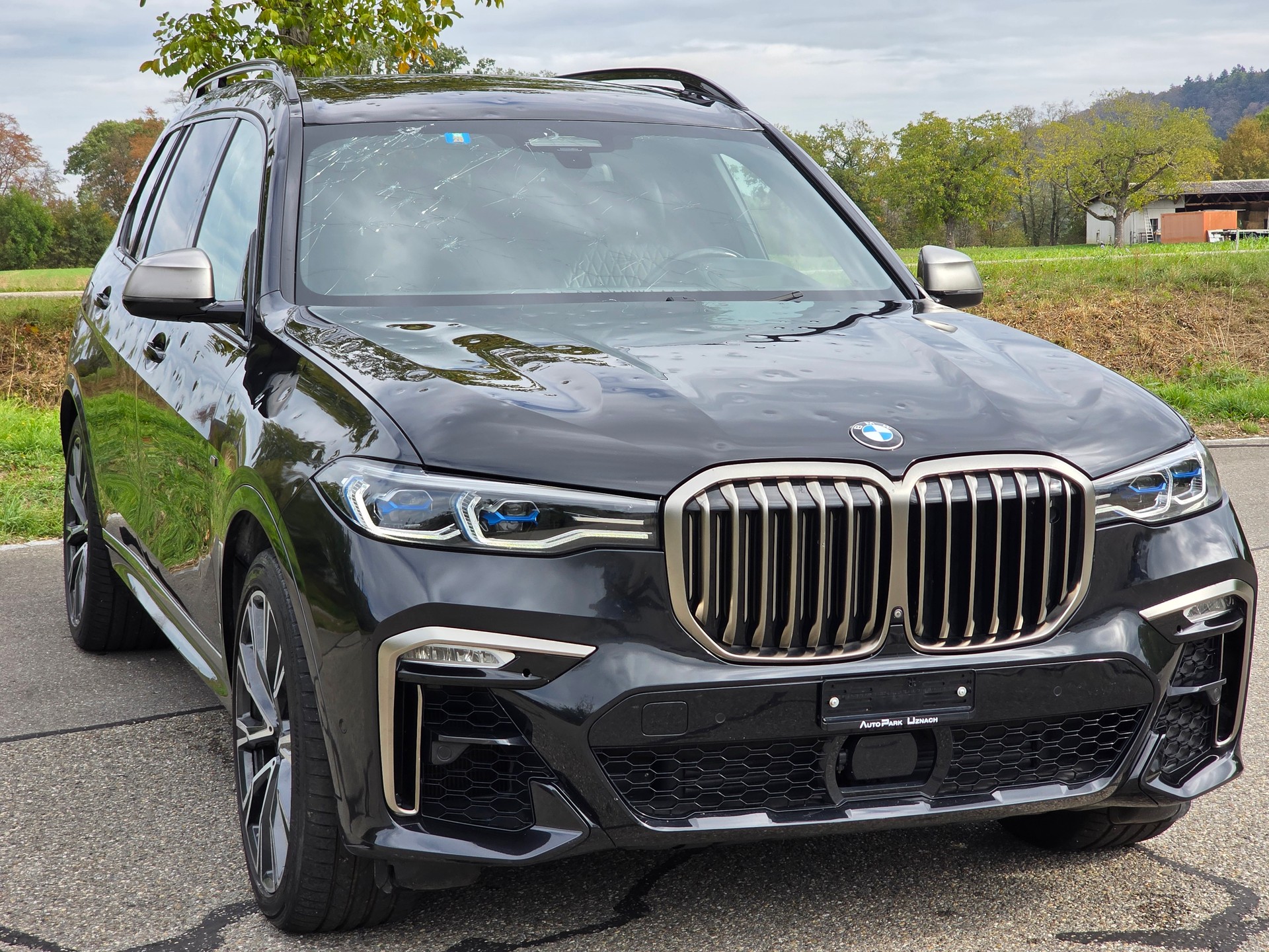 BMW X7 xDrive M50i Steptronic 530PS (Hagelschaden)-image-2