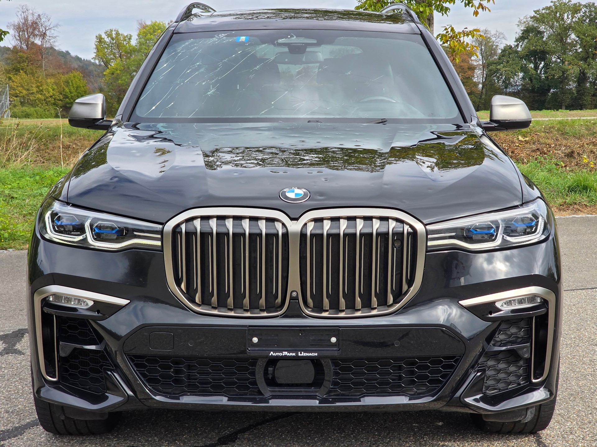 BMW X7 xDrive M50i Steptronic 530PS (Hagelschaden)-image-1