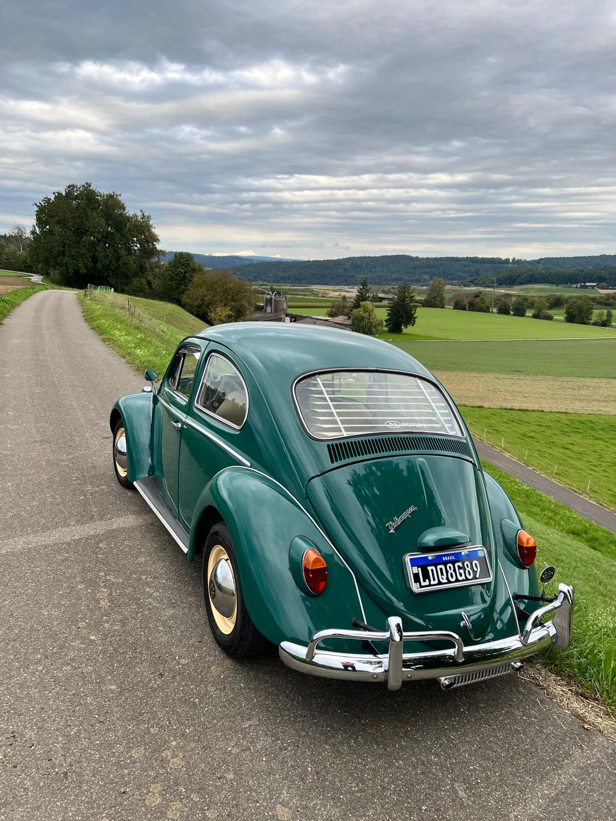 VW Käfer-image-9