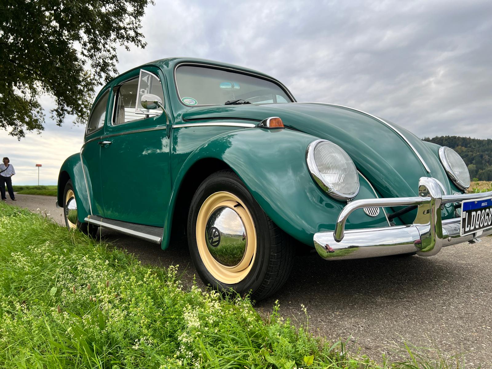 VW Käfer-image-1