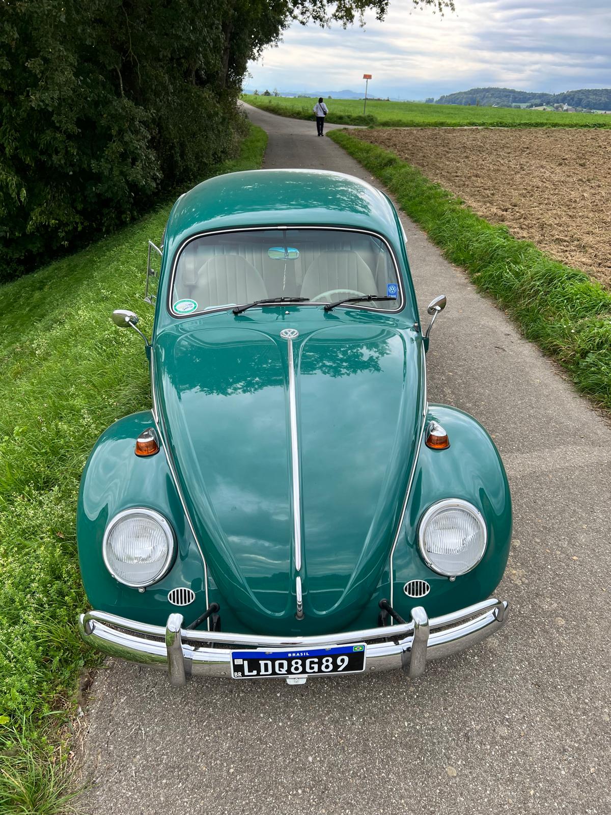 VW Käfer-image-11