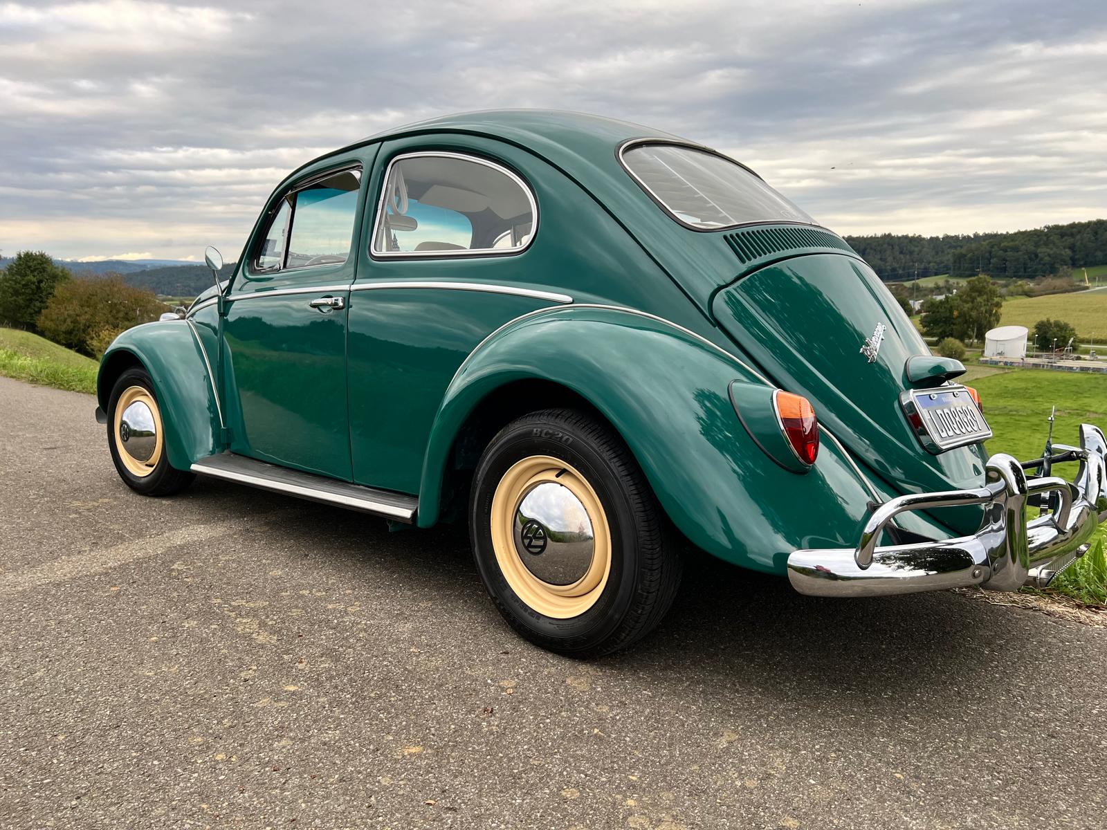 VW Käfer-image-2