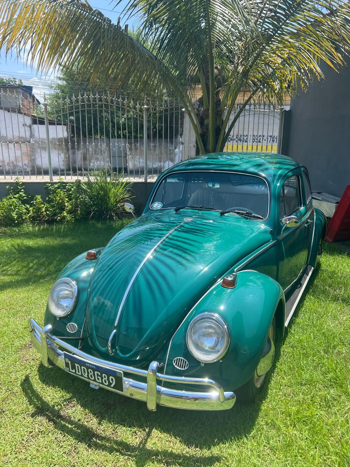 VW Käfer