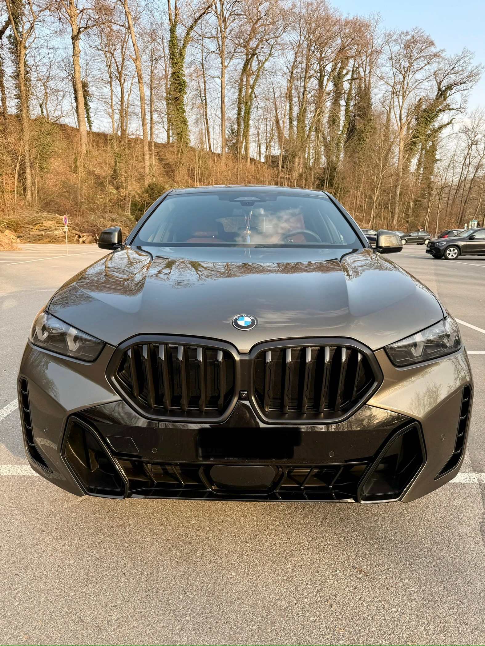 BMW X6 xDrive 48V 30d M Sport Pro Steptronic Manhattan metallic
