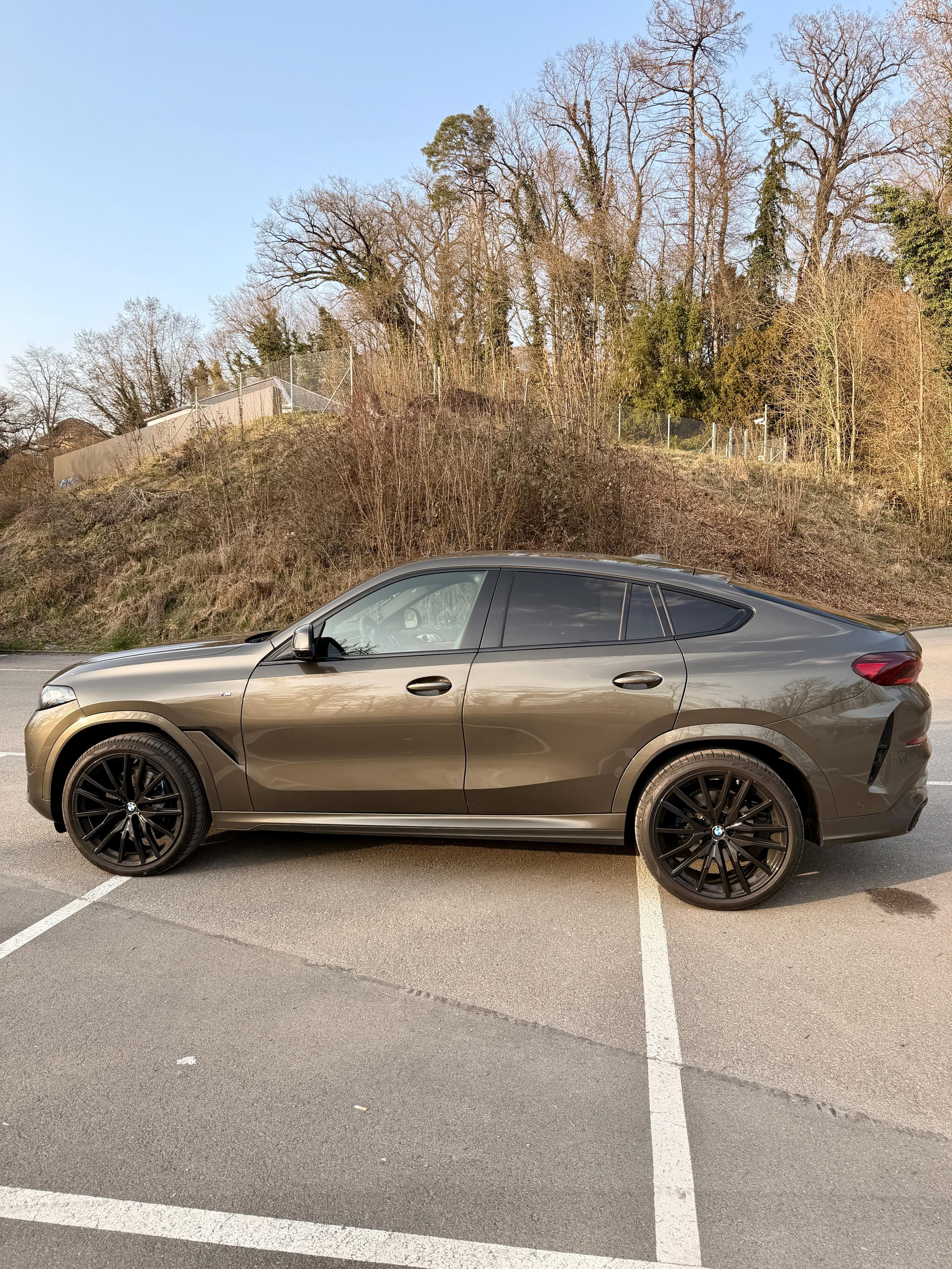 BMW X6 xDrive 48V 30d M Sport Pro Steptronic Manhattan metallic-image-4