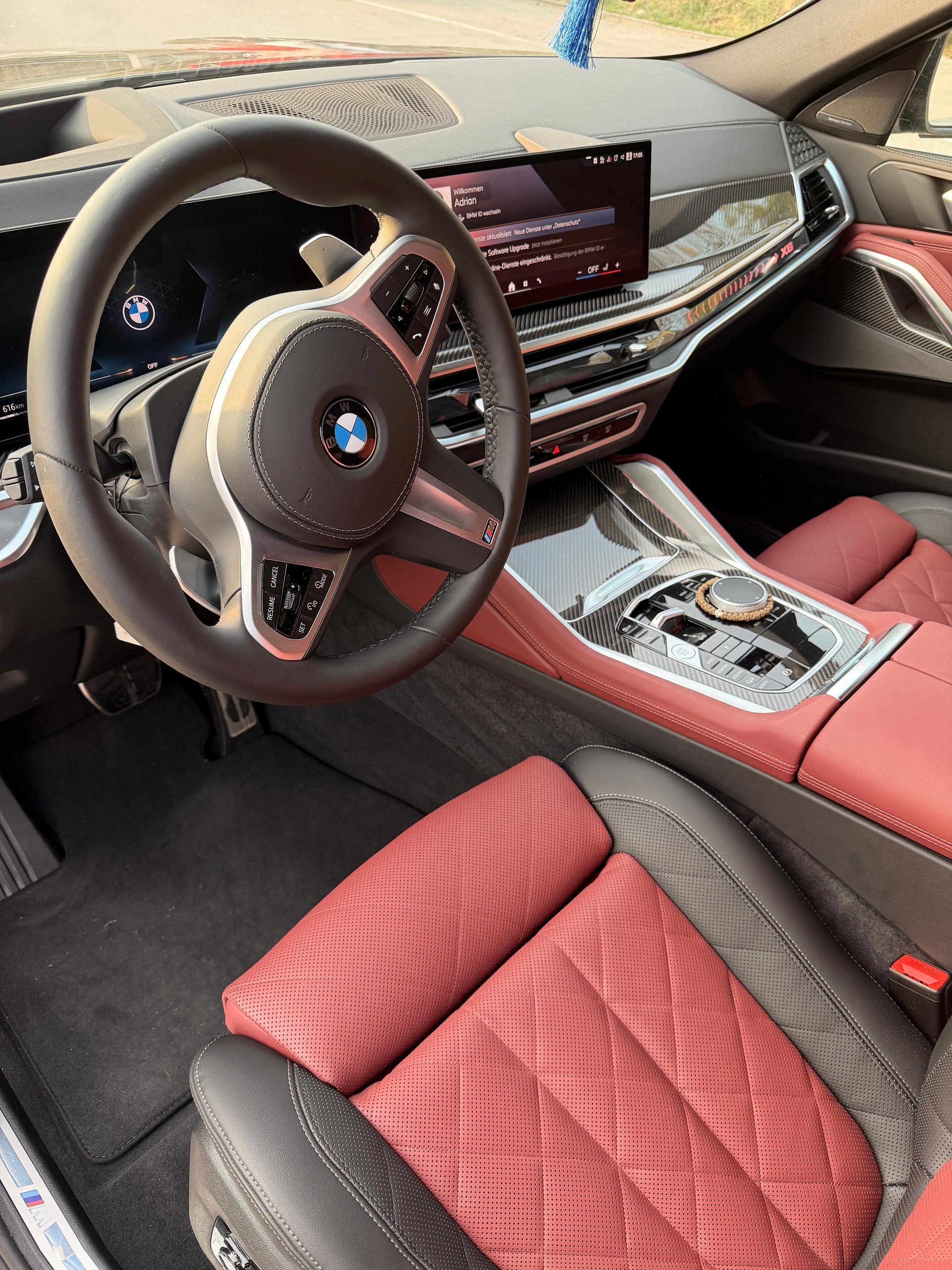 BMW X6 xDrive 48V 30d M Sport Pro Steptronic Manhattan metallic-image-7