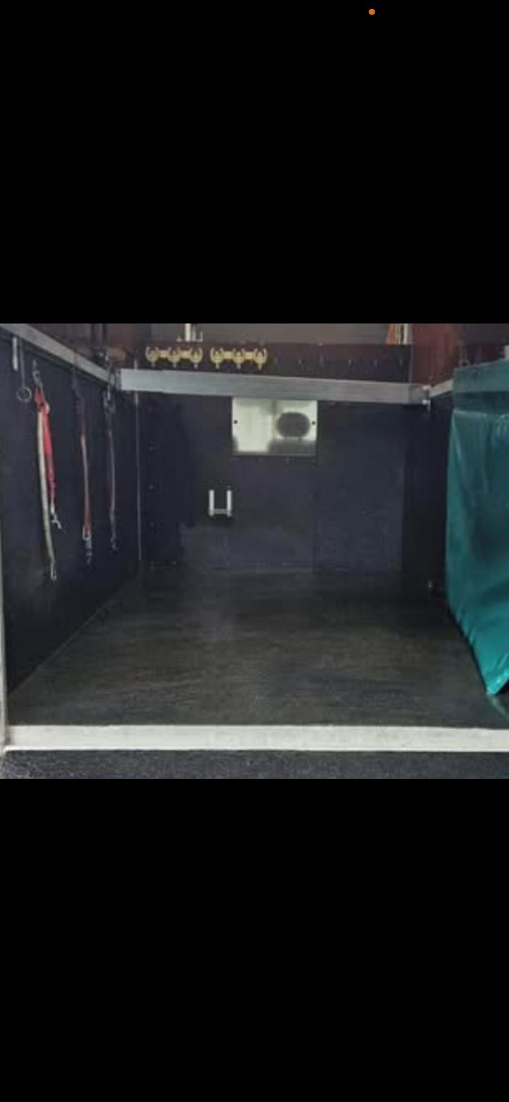 RENAULT 2.8 dTi Van Chevaux Pferde Transport-image-12