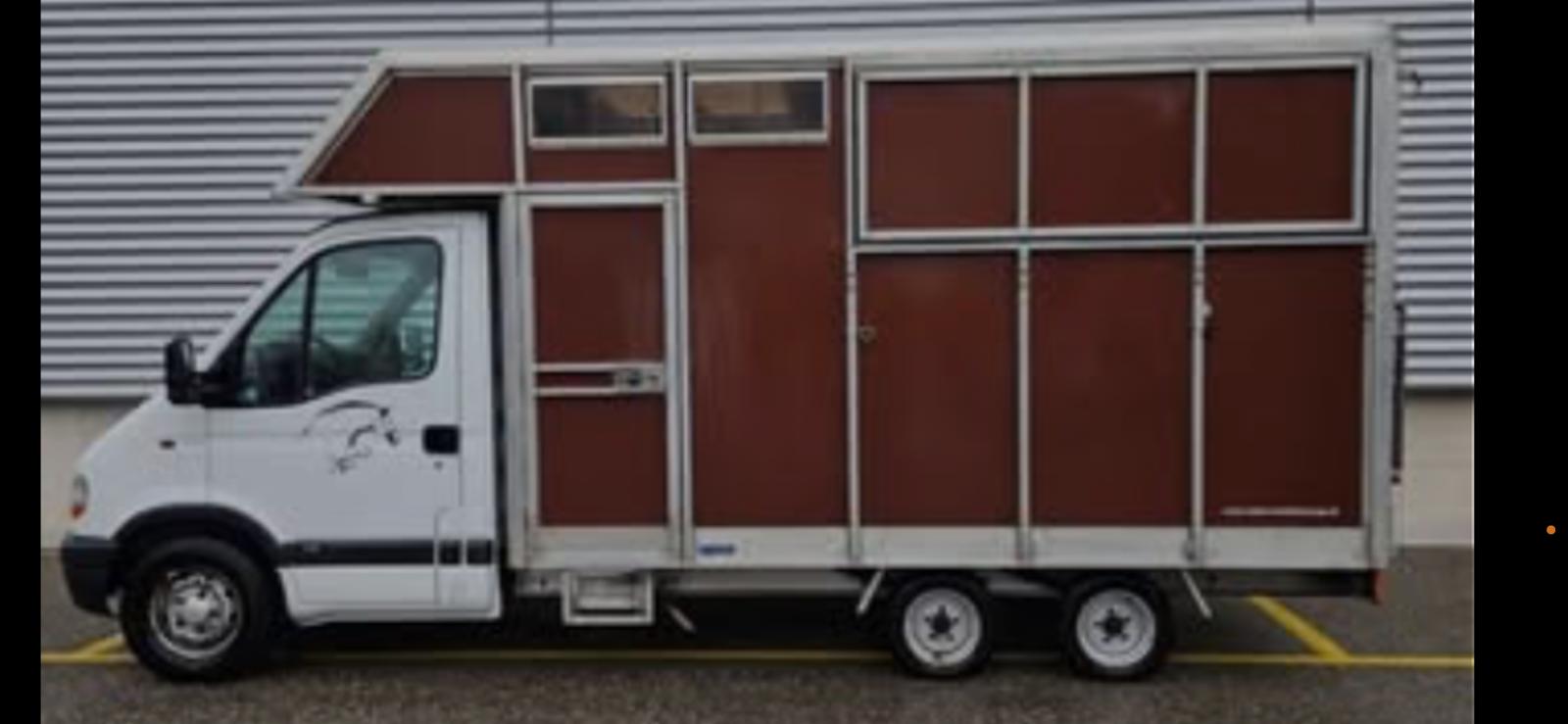 RENAULT 2.8 dTi Van Chevaux Pferde Transport-image-10