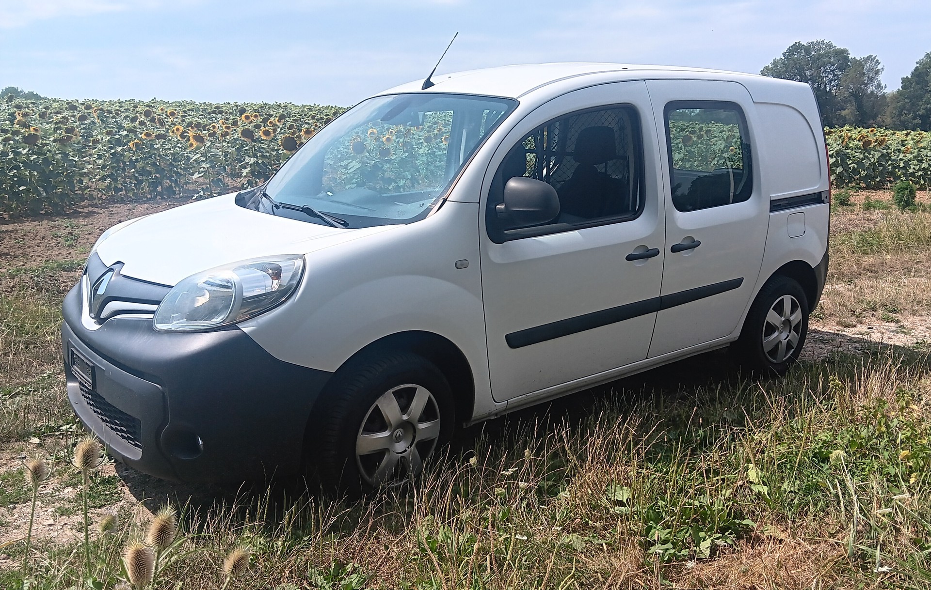 RENAULT 1.5 dCi 90 DPF Business S/S-image-0