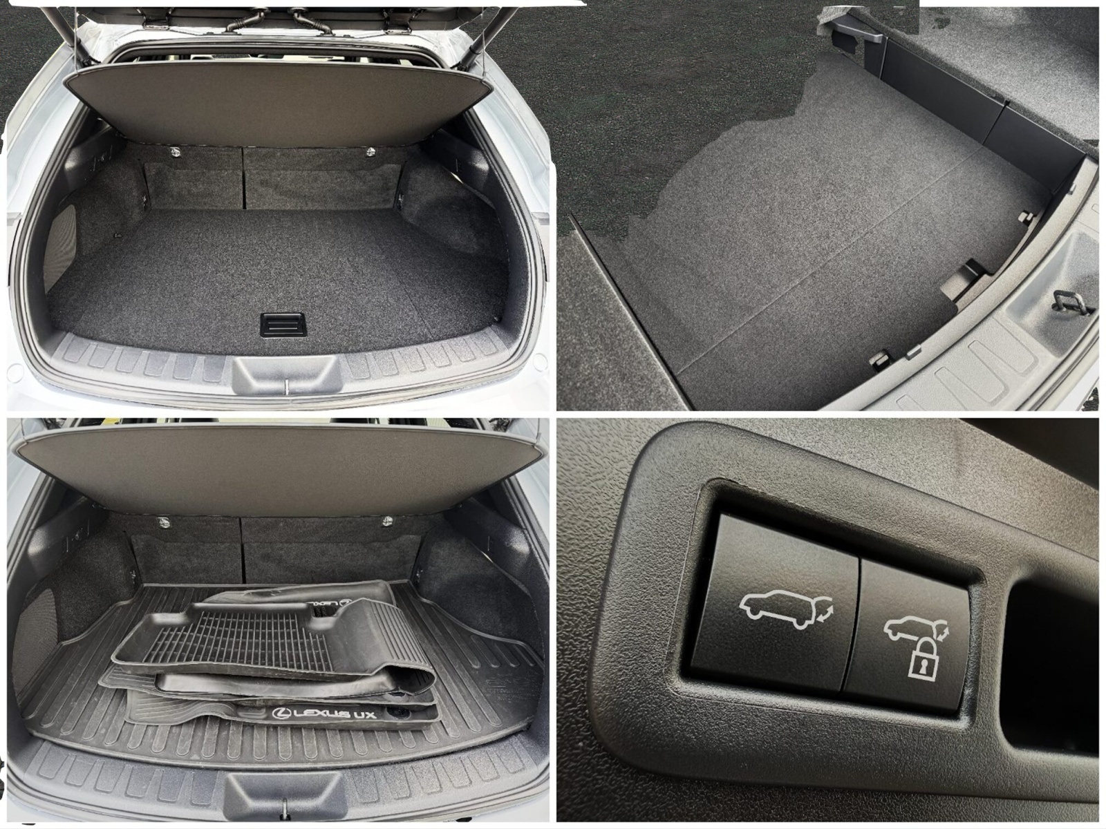 LEXUS UX 250h F-Line / CH Auslieferung-image-18