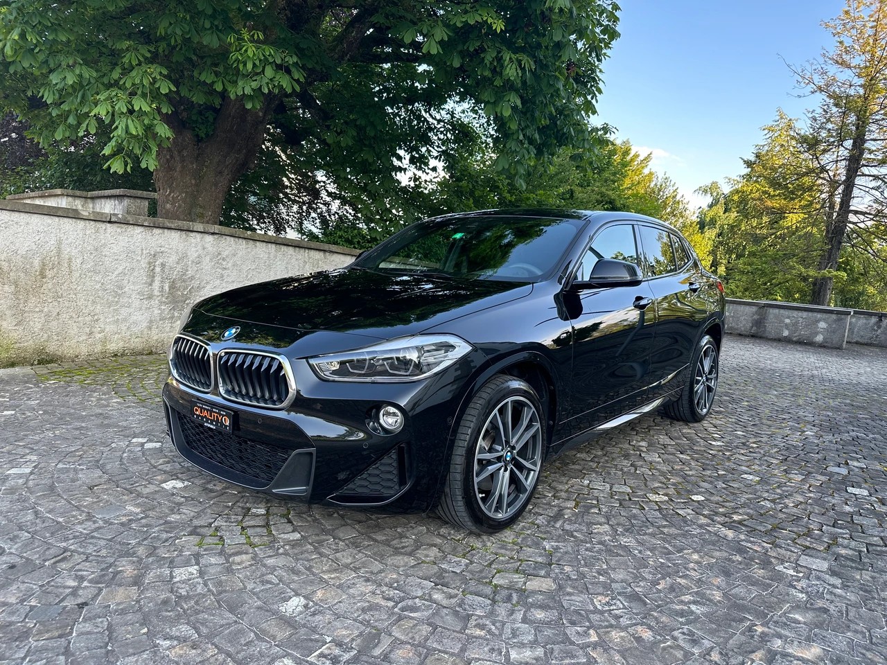 BMW X2 xDrive 20d M Sport Steptronic-image-0