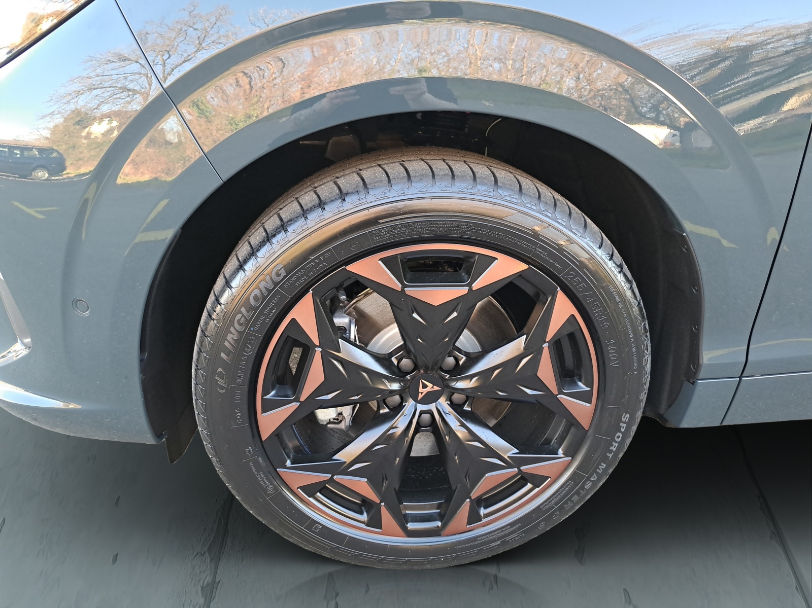 CUPRA Terramar 2.0 TSI Prime Edition DSG 4Drive-image-8