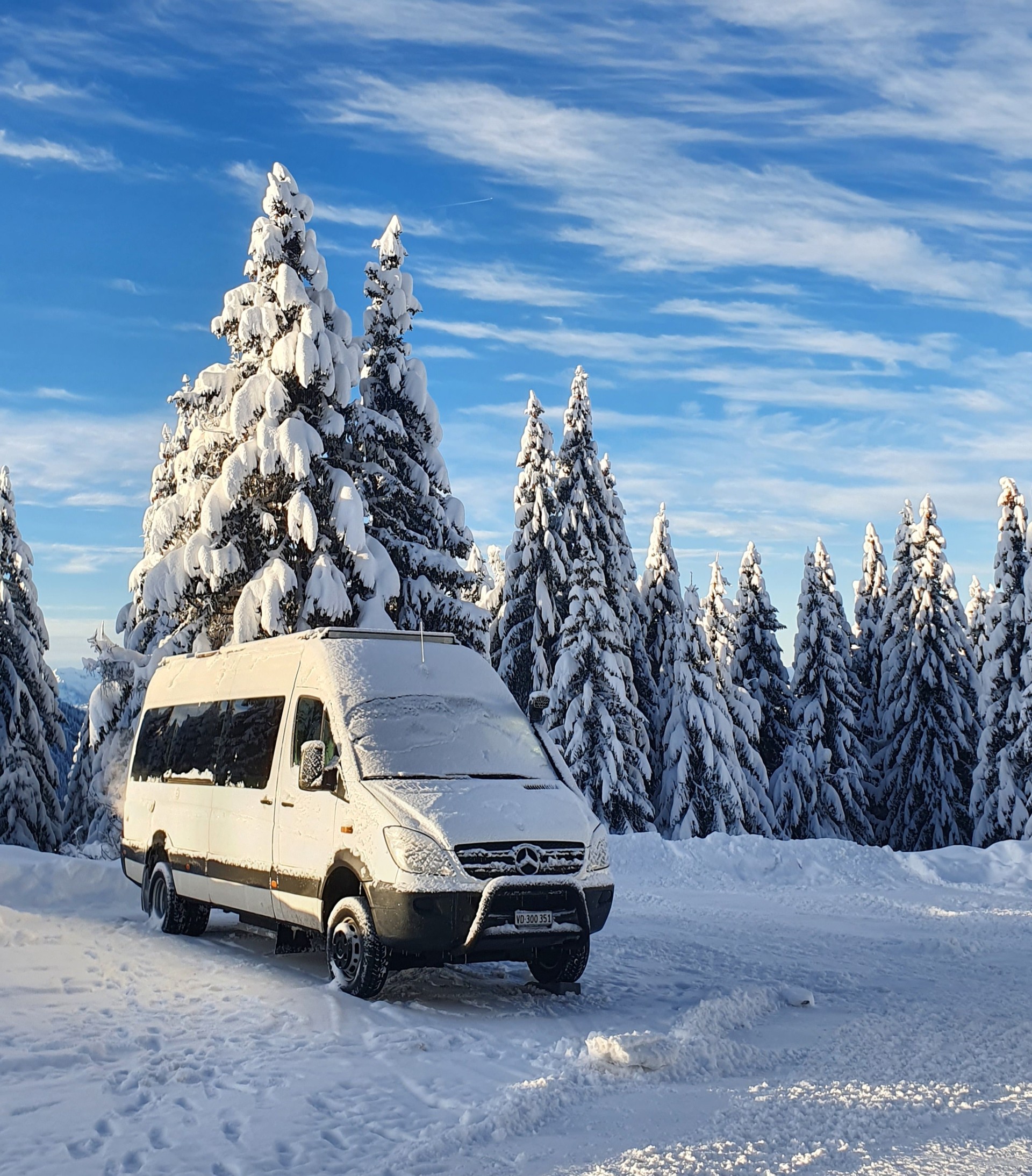 MERCEDES-BENZ 515 CDI 4x4-image-9