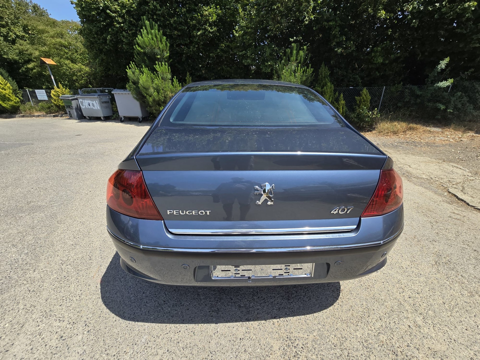 PEUGEOT 407 2.2 ST Executive-image-12